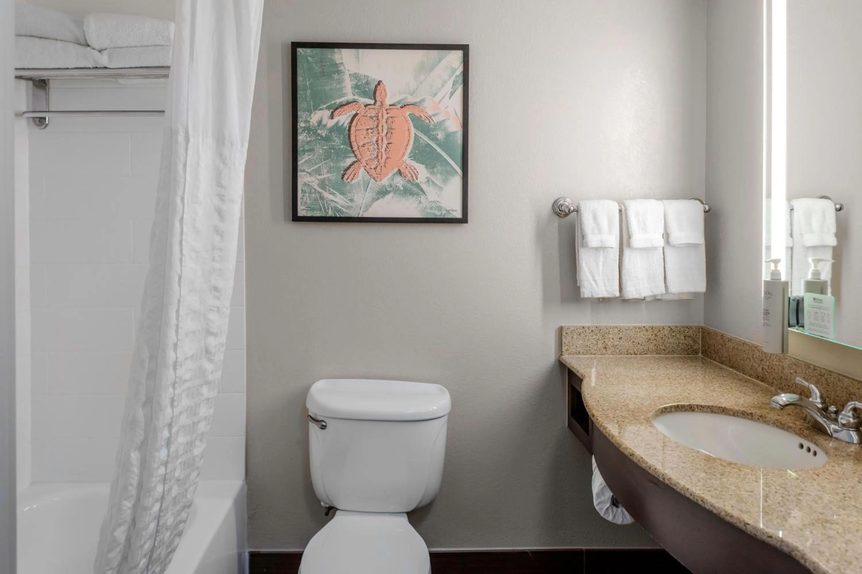 Bathroom in Hilton Garden Inn Sarasota-Bradenton Airport