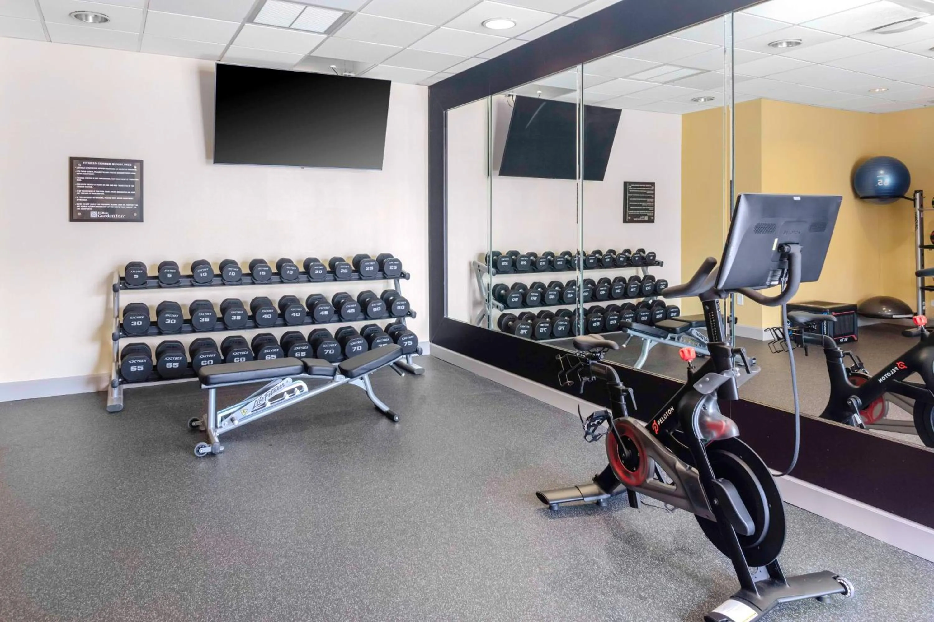 Fitness centre/facilities in Hilton Garden Inn Sarasota-Bradenton Airport