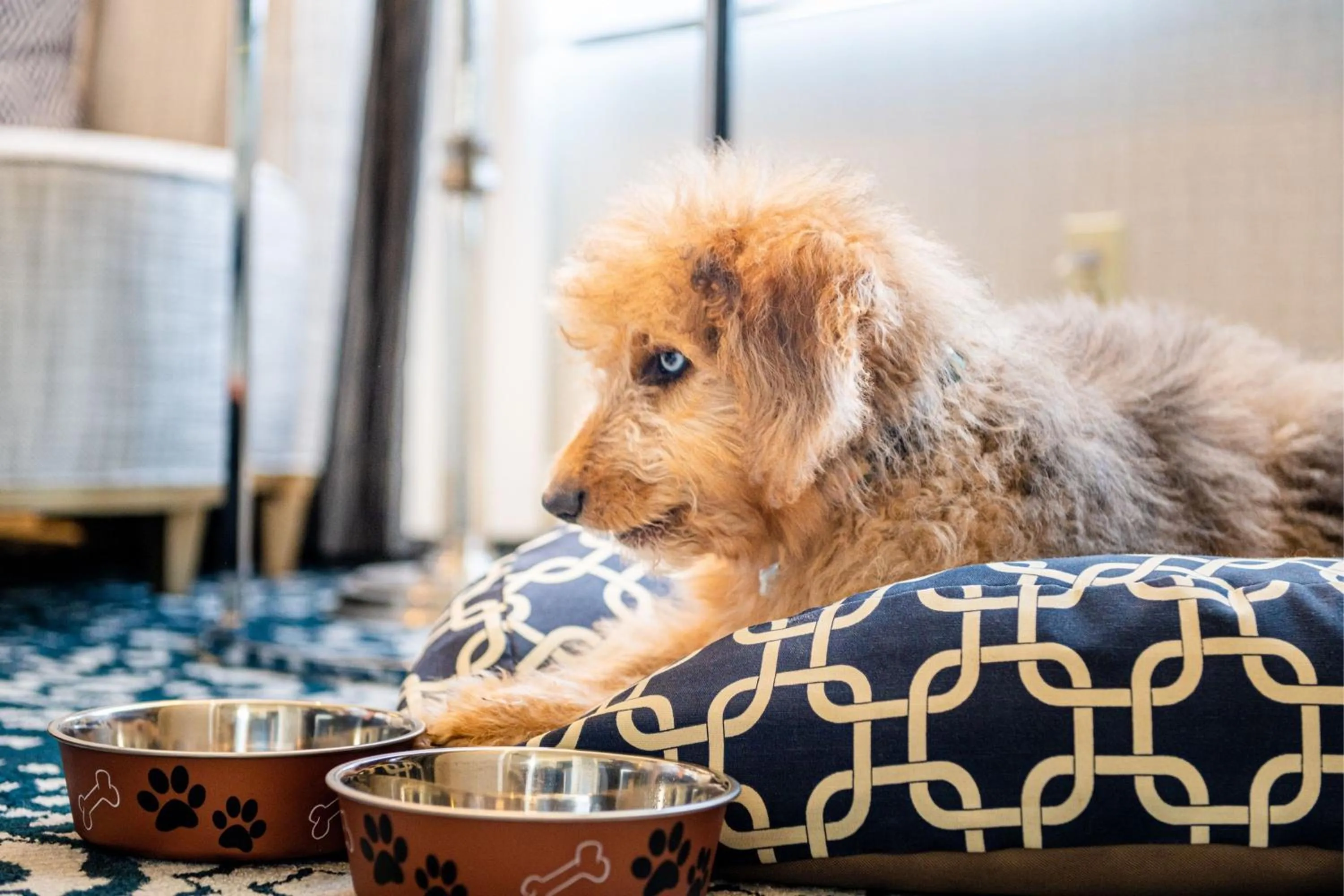 Other in The Ritz-Carlton, San Francisco