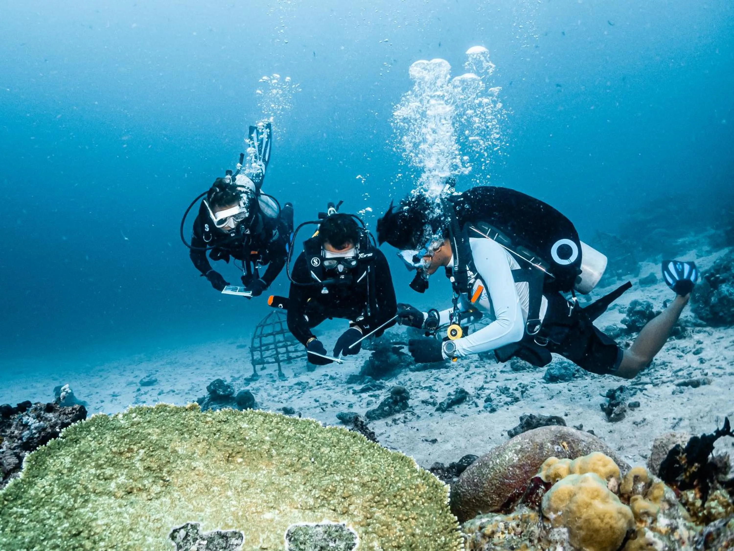 Diving in Tevana House Reef