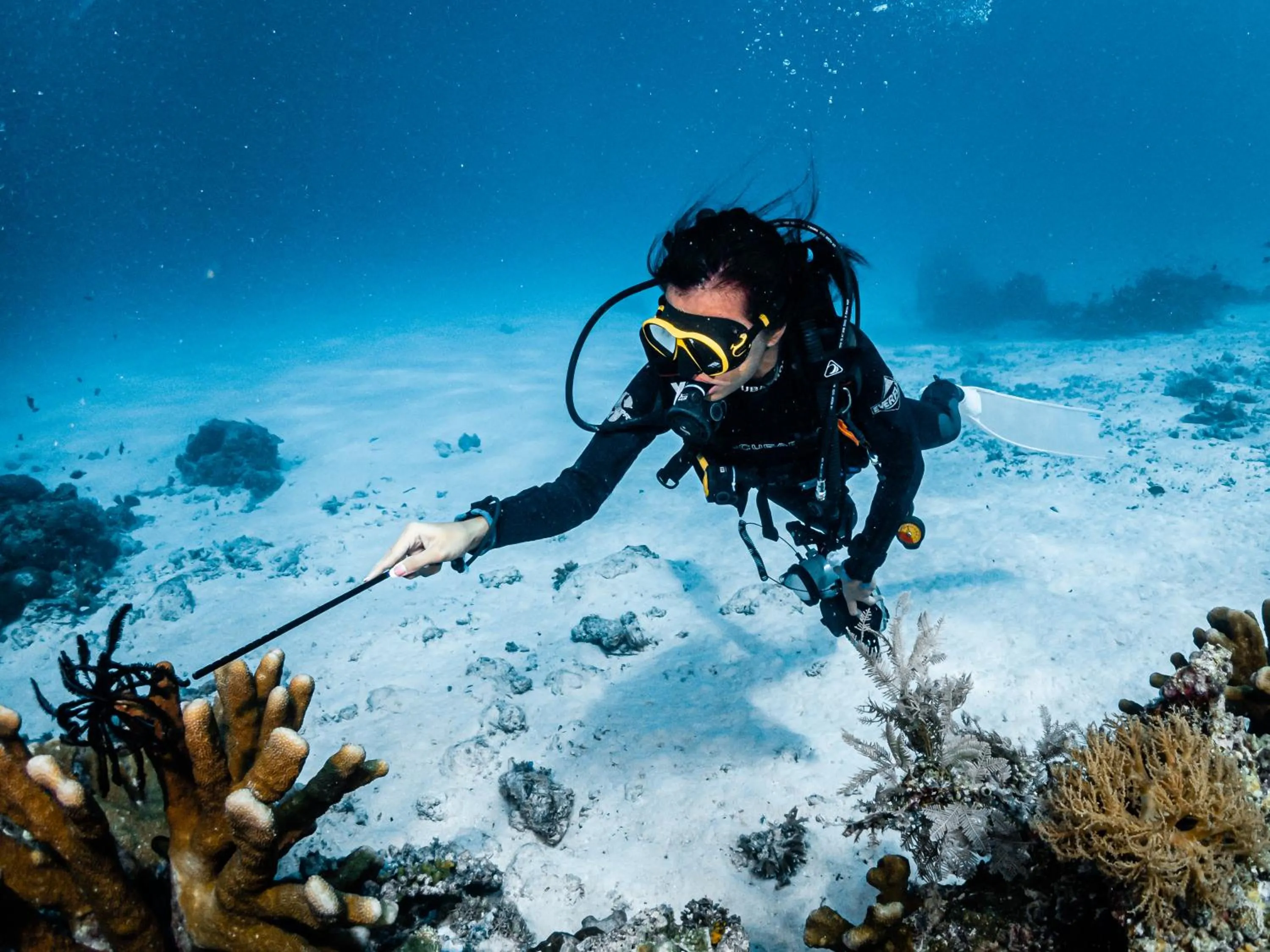 Diving in Tevana House Reef