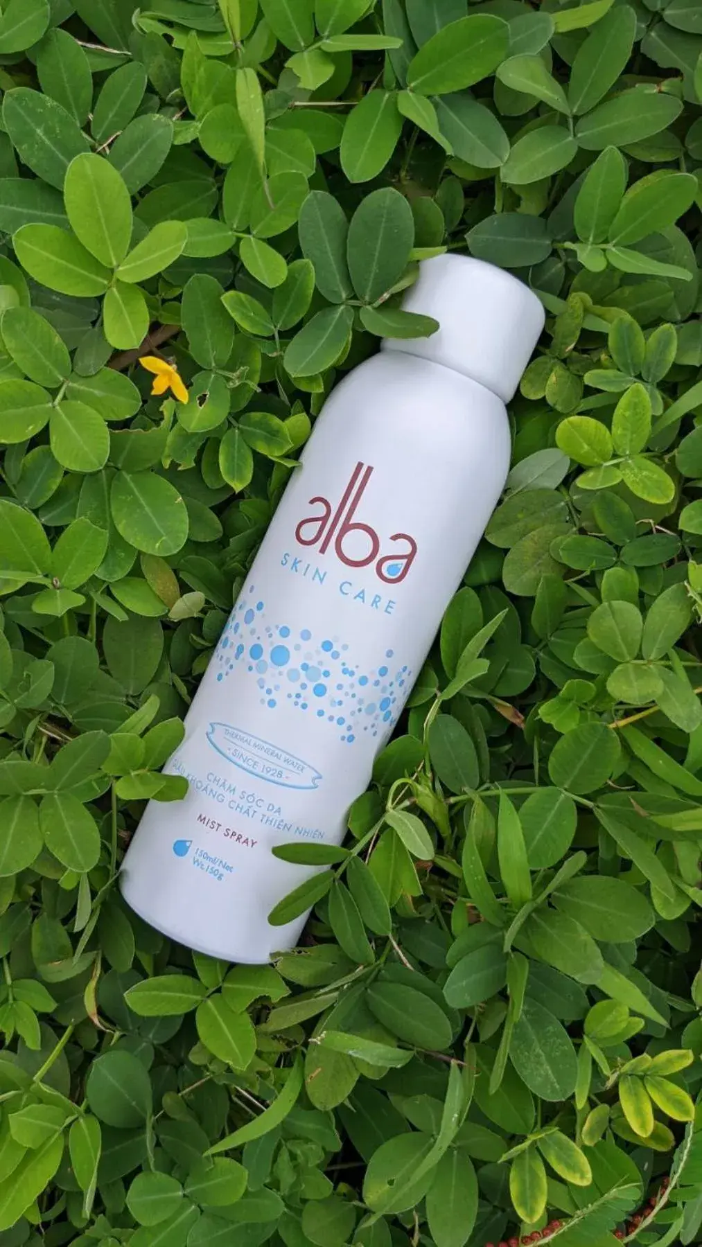 Wellness Room Including Spa and Meditation in Alba Spa Hotel Wellness Room Including Spa and Meditation in Alba Spa Hotel