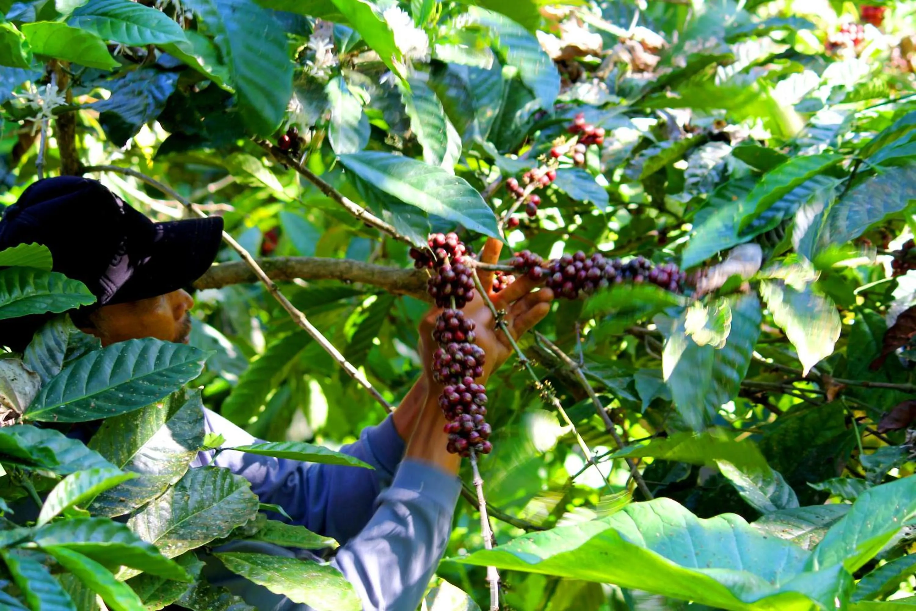 Activities in Bali Bening