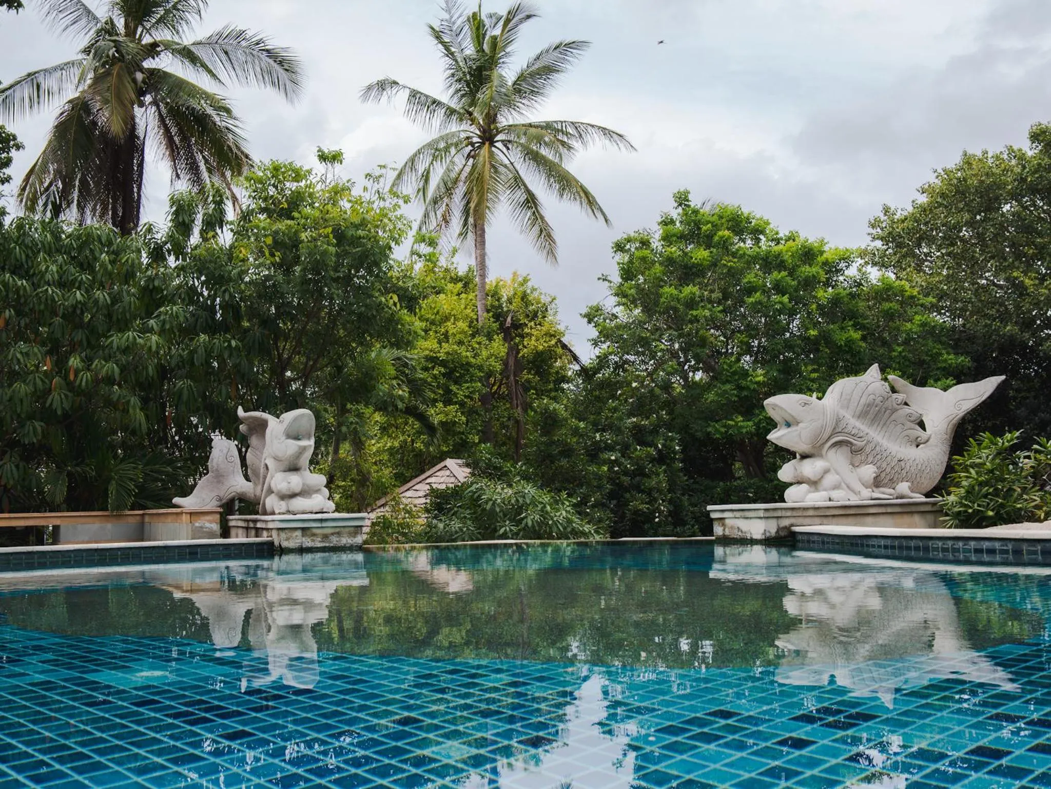 Swimming pool in Sensi Paradise Beach Resort