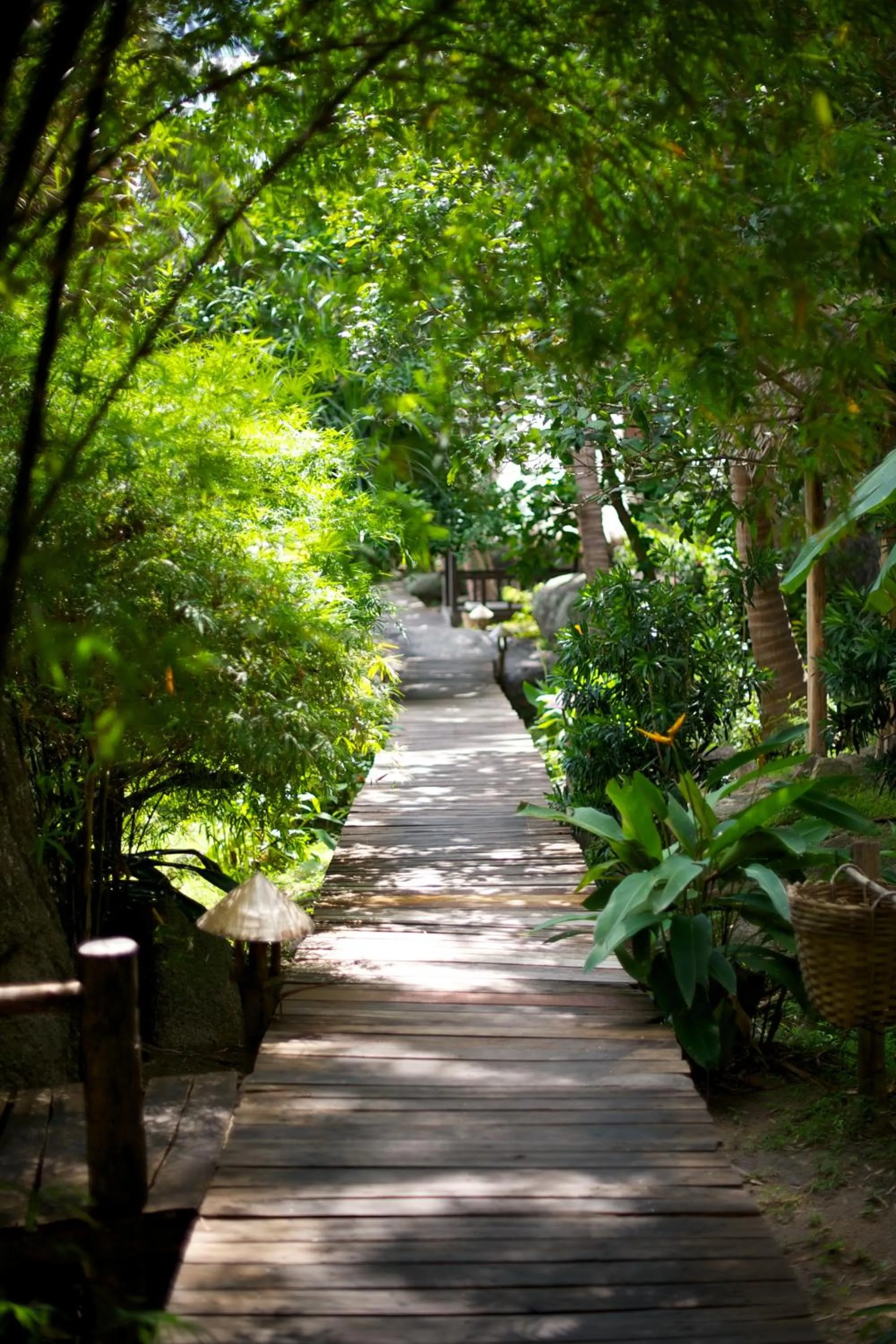 Facade/entrance in Sensi Paradise Beach Resort
