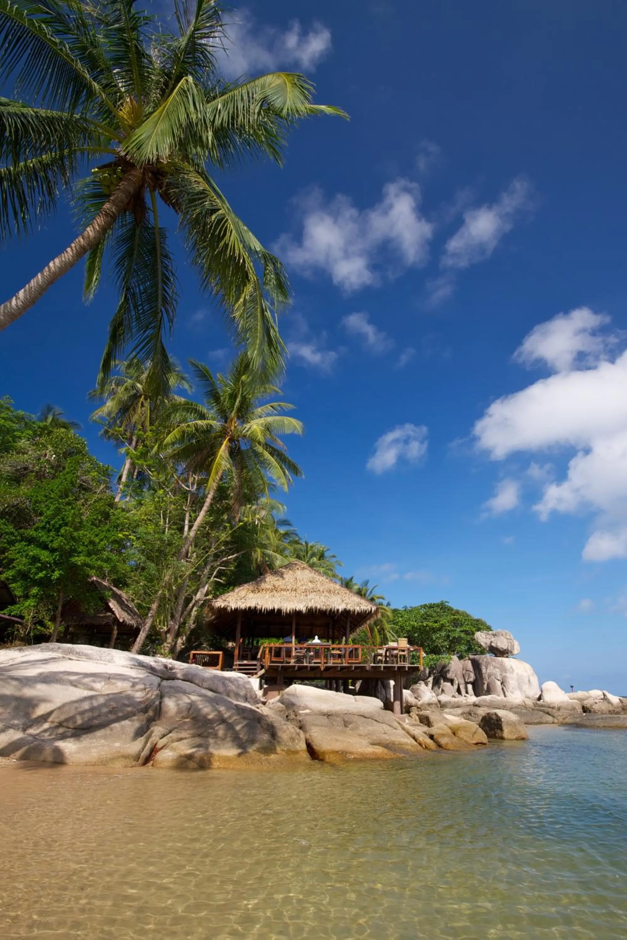View (from property/room) in Sensi Paradise Beach Resort