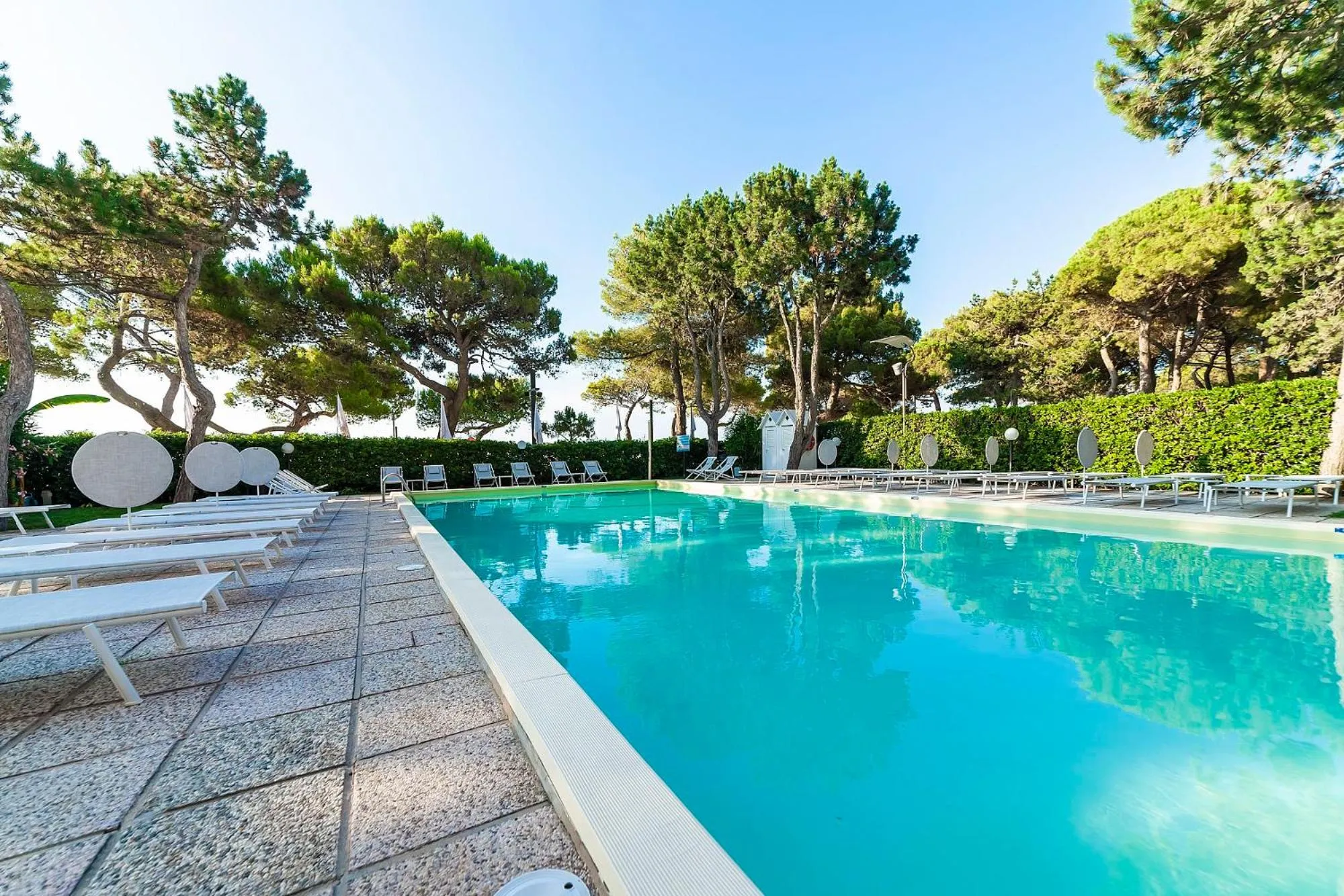 Swimming pool in Hotel American