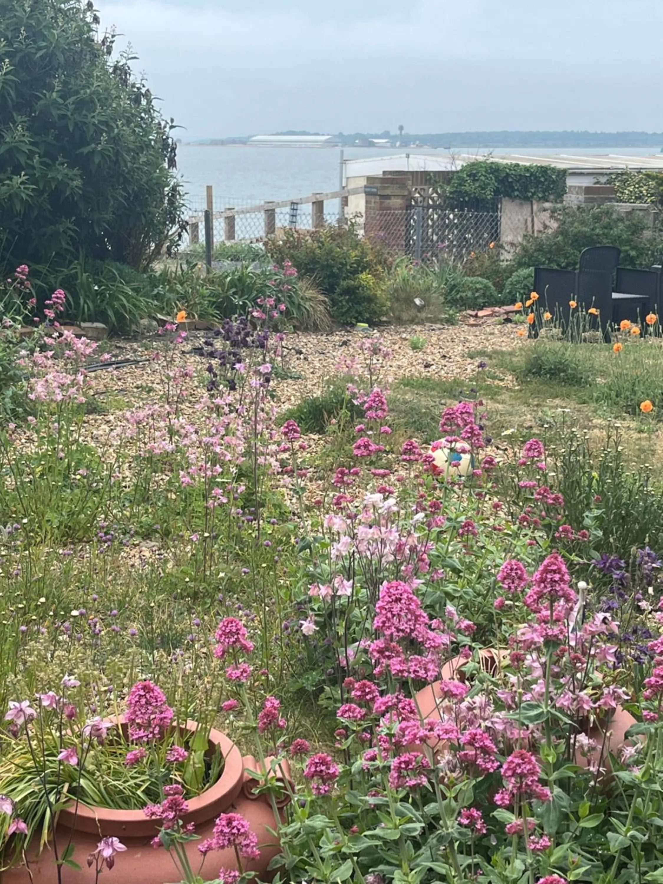 Cove Cott Guest Accommodation