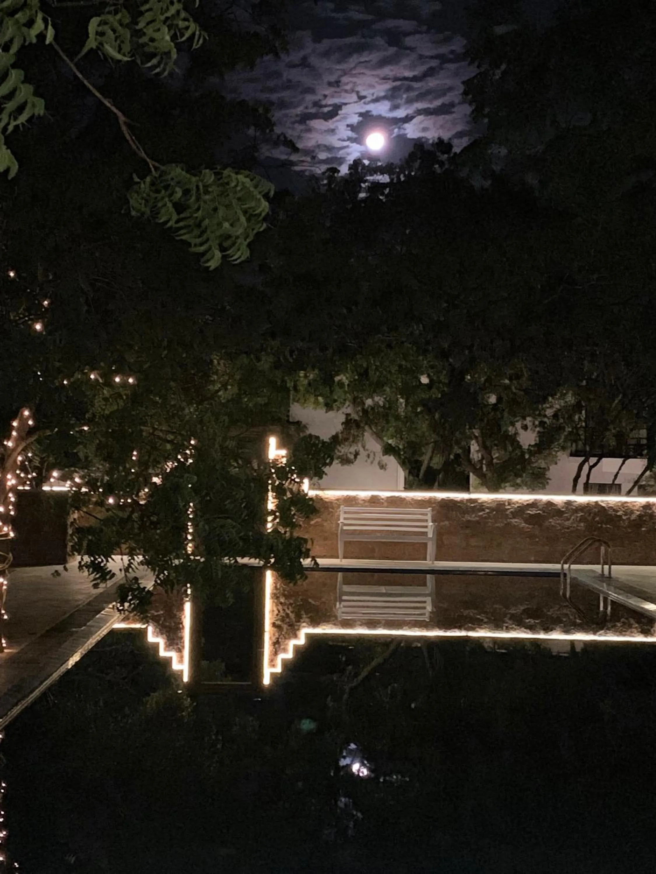 Garden in Arana Yala