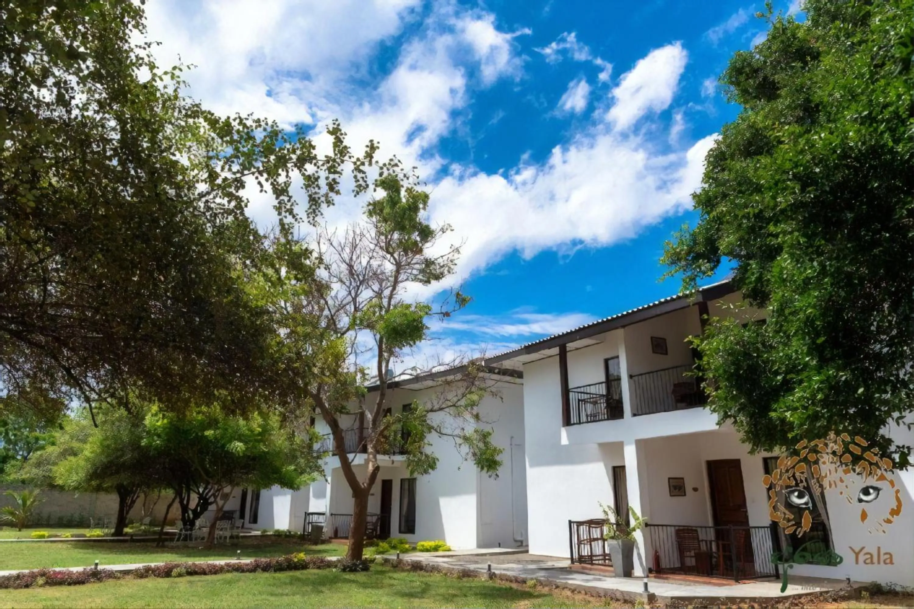 Property building in Arana Yala