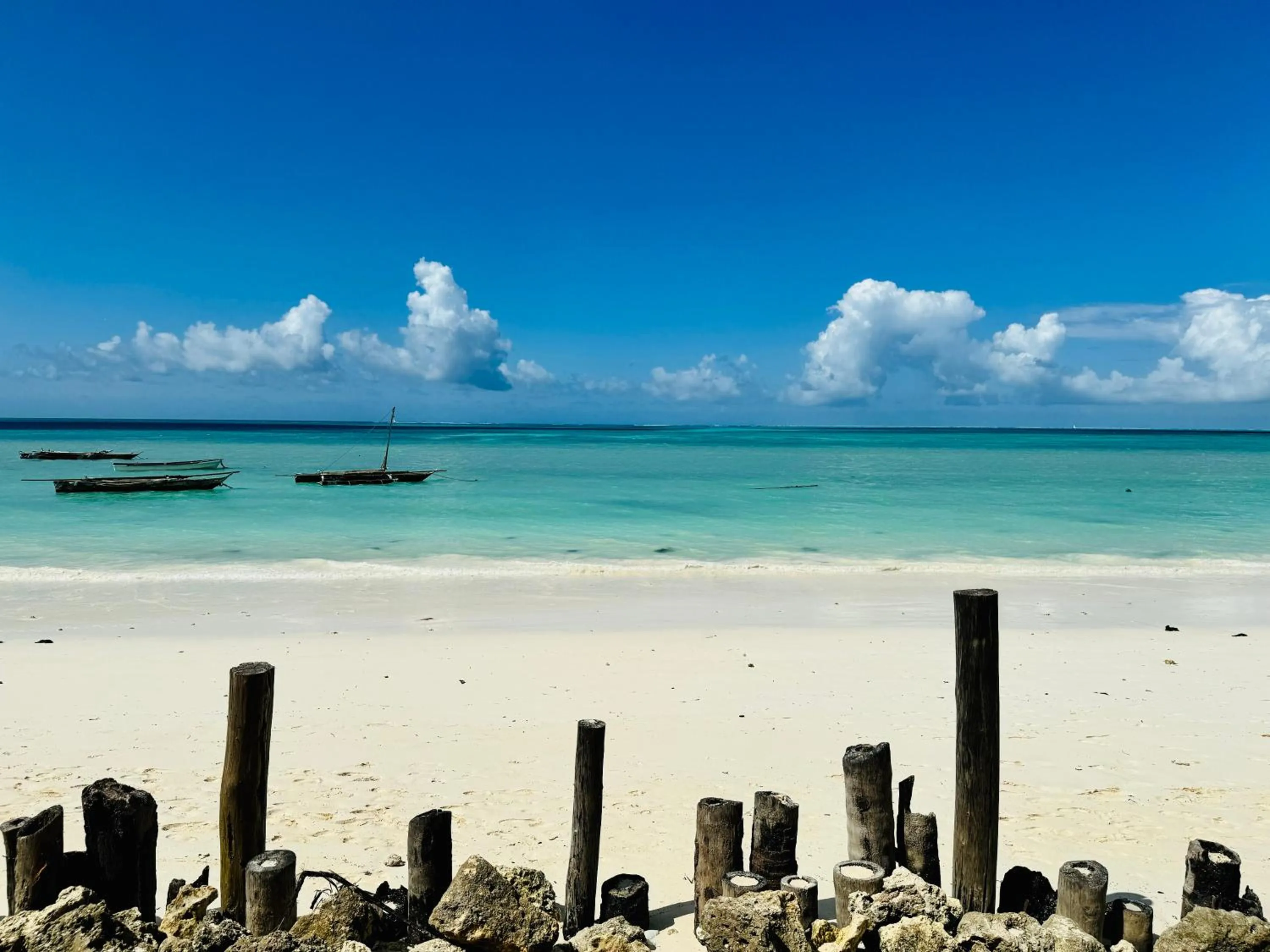 Day in Mango Beach House