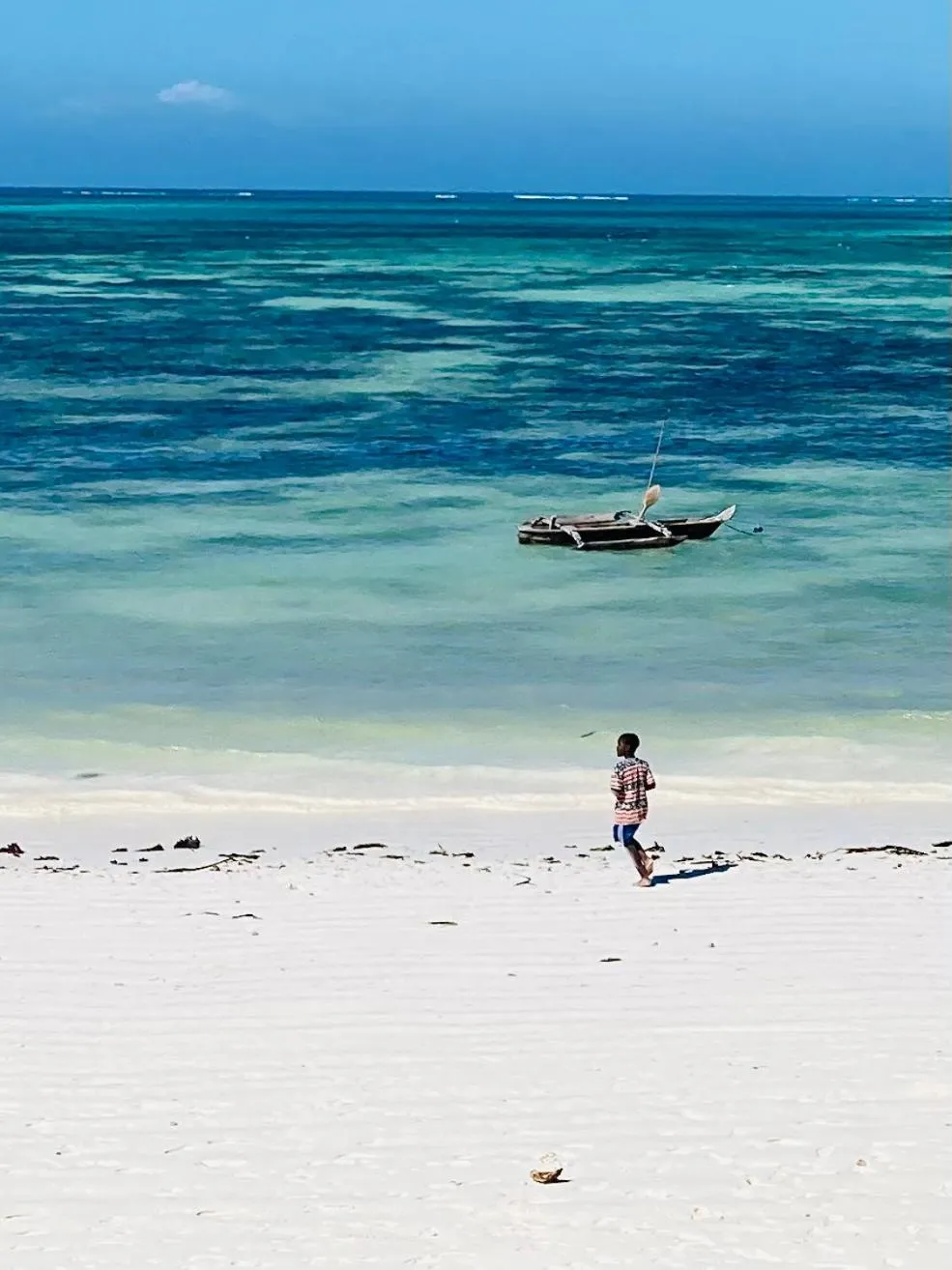 Day in Mango Beach House