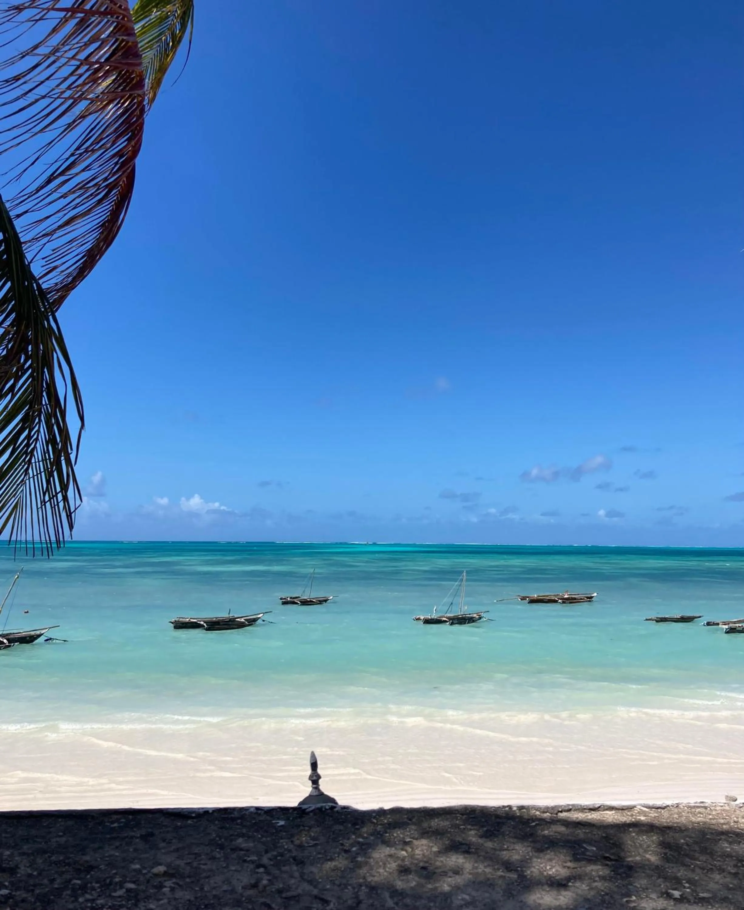 Day in Mango Beach House