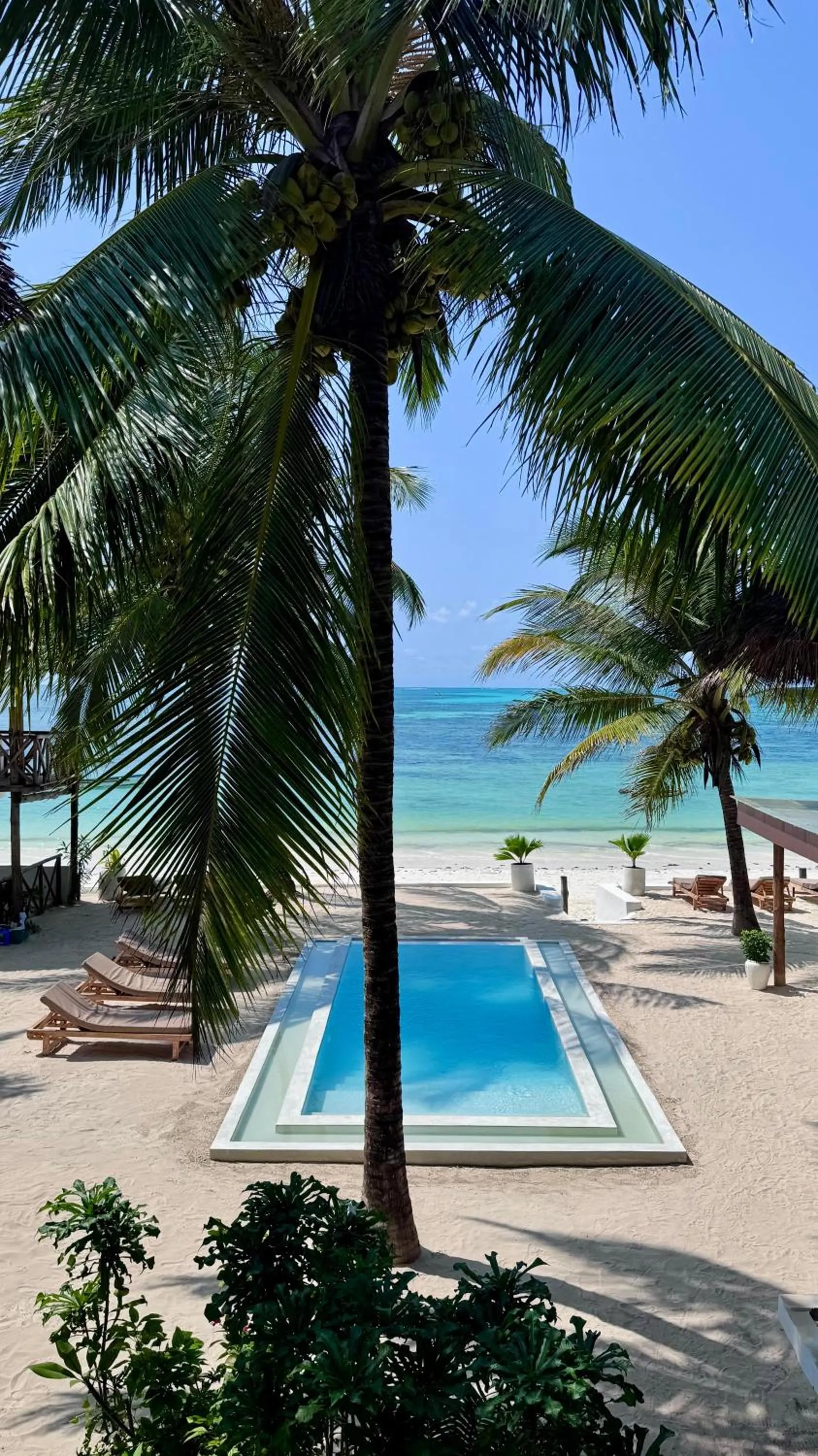 Day in Mango Beach House