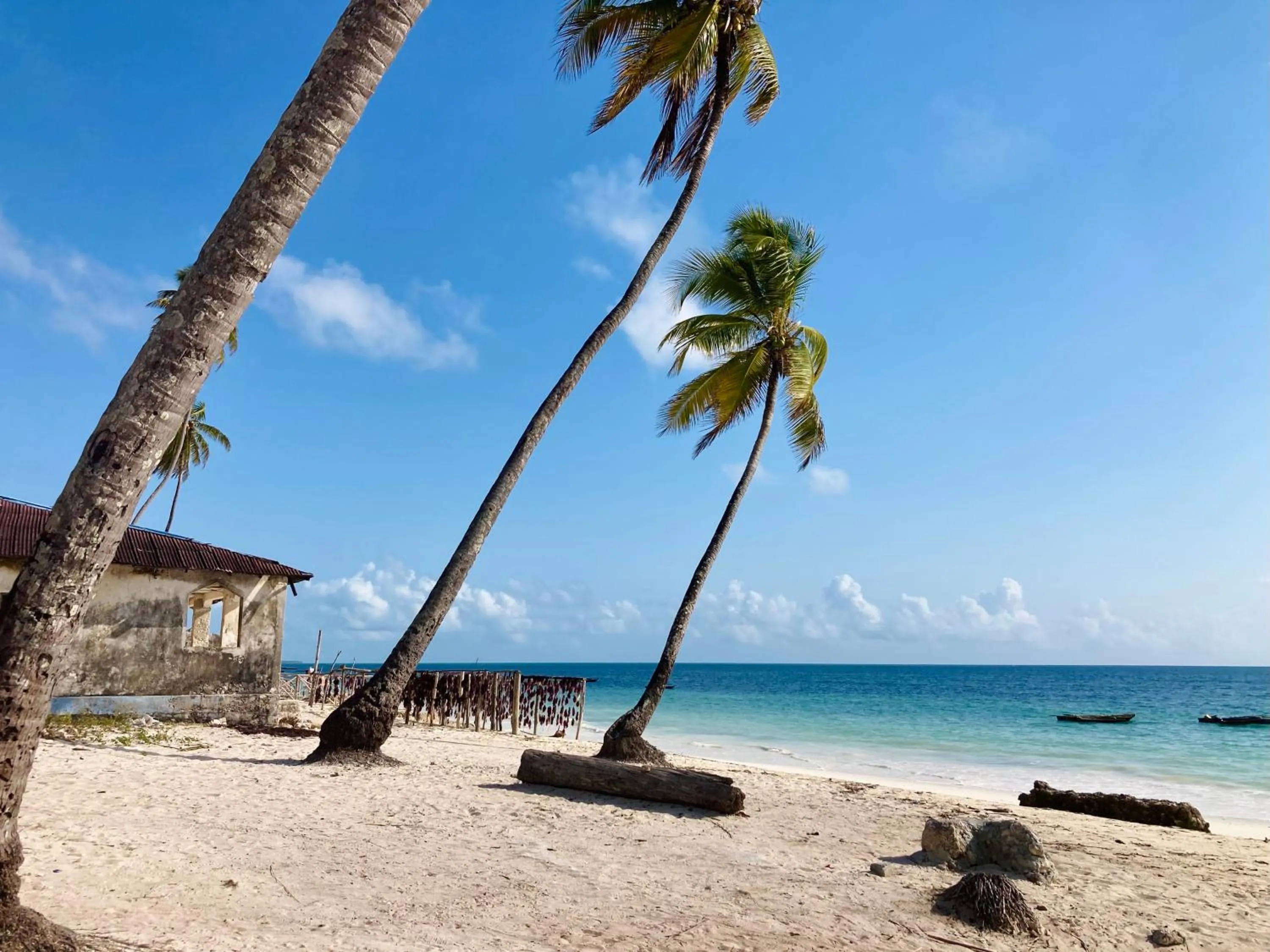 Day in Mango Beach House