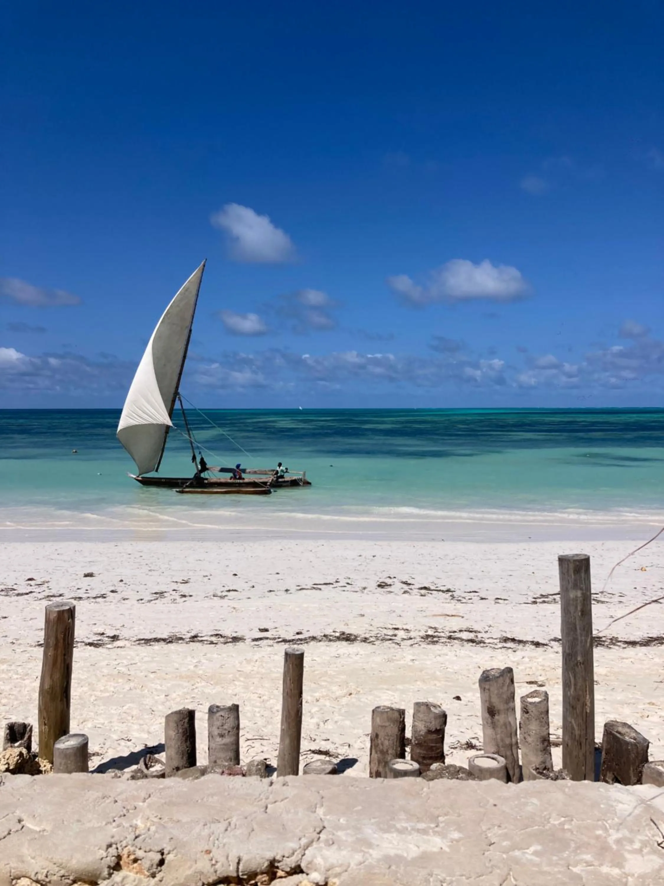 Day in Mango Beach House