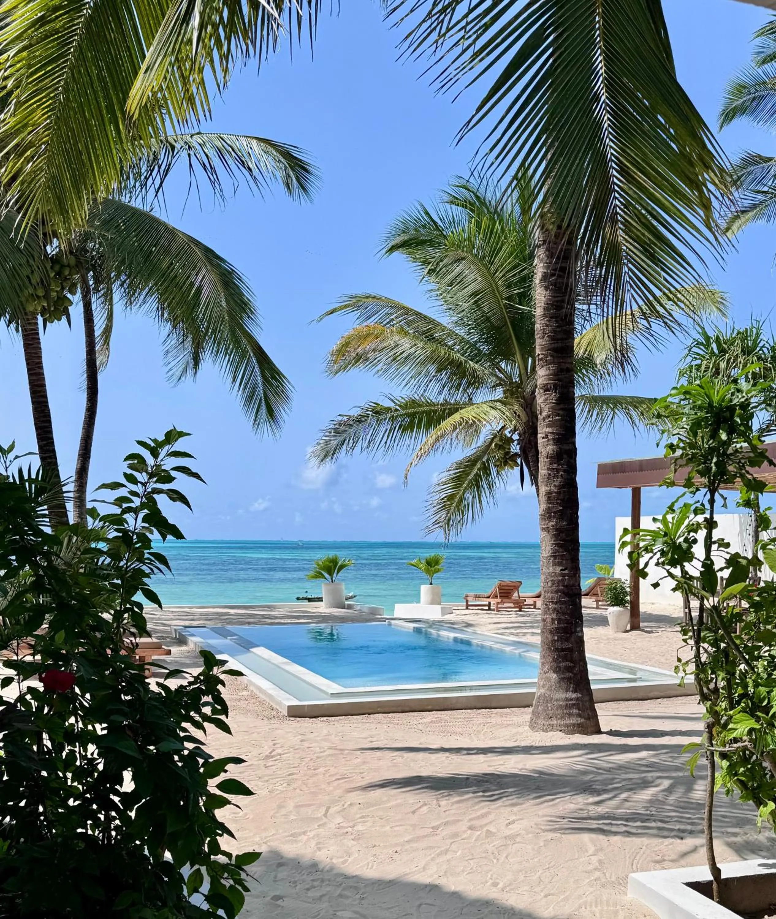 Pool view in Mango Beach House
