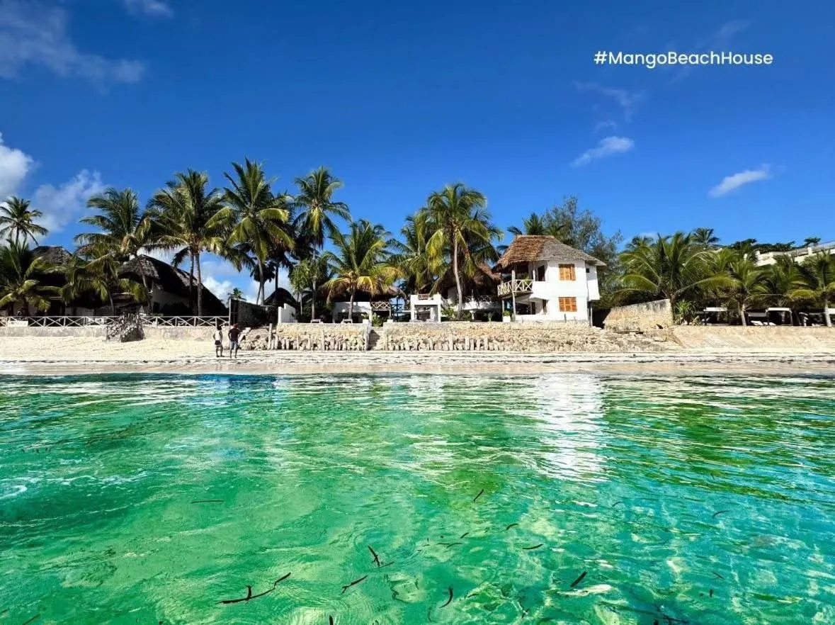 Day in Mango Beach House