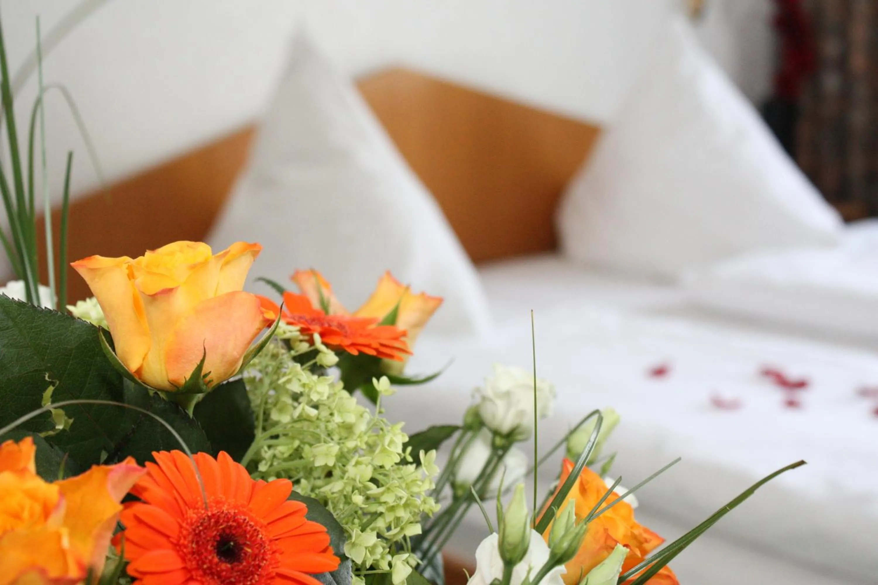 Photo of the whole room in Hotel Mainbogen