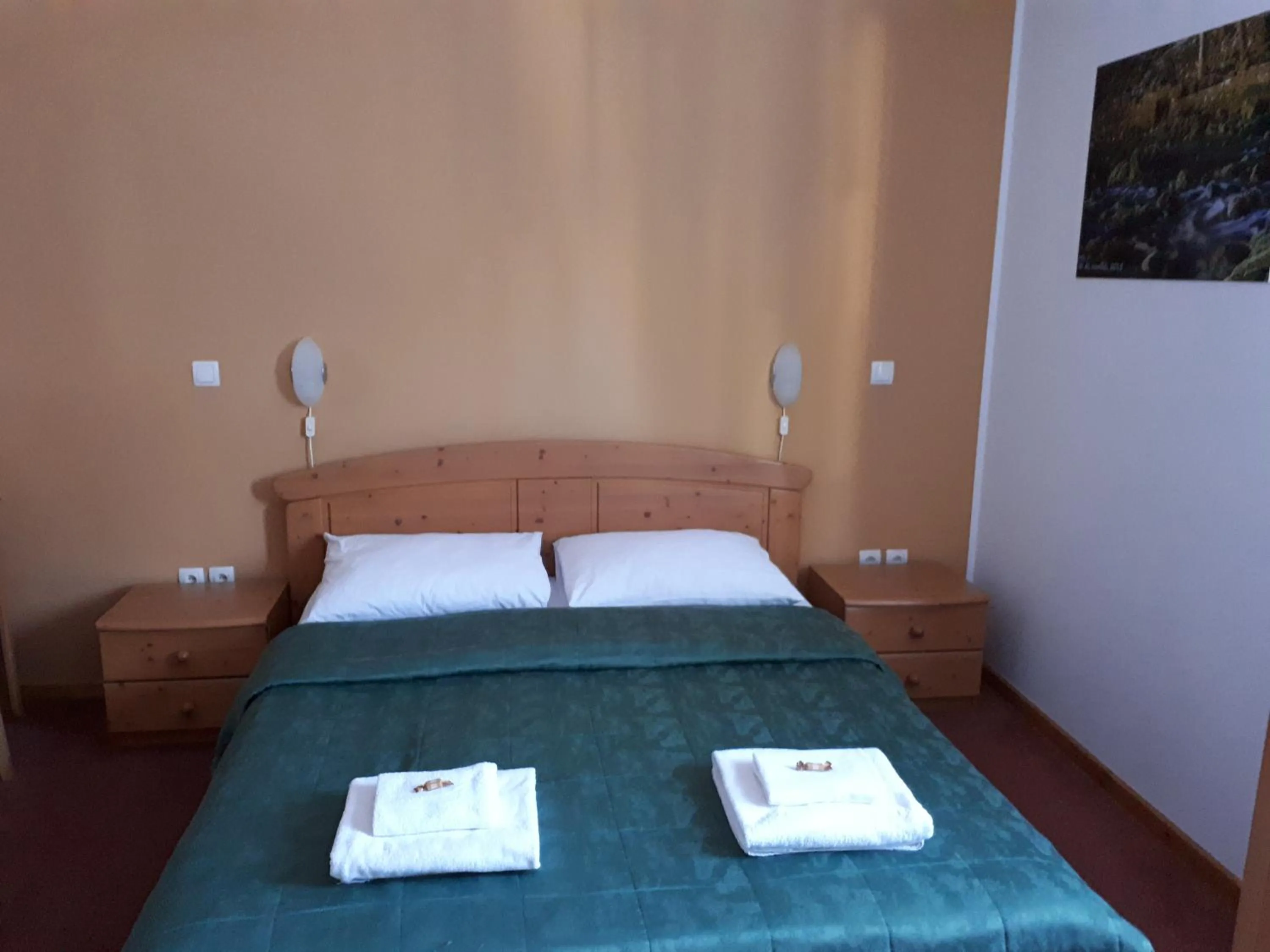 Bed in Hotel Rakov Skocjan