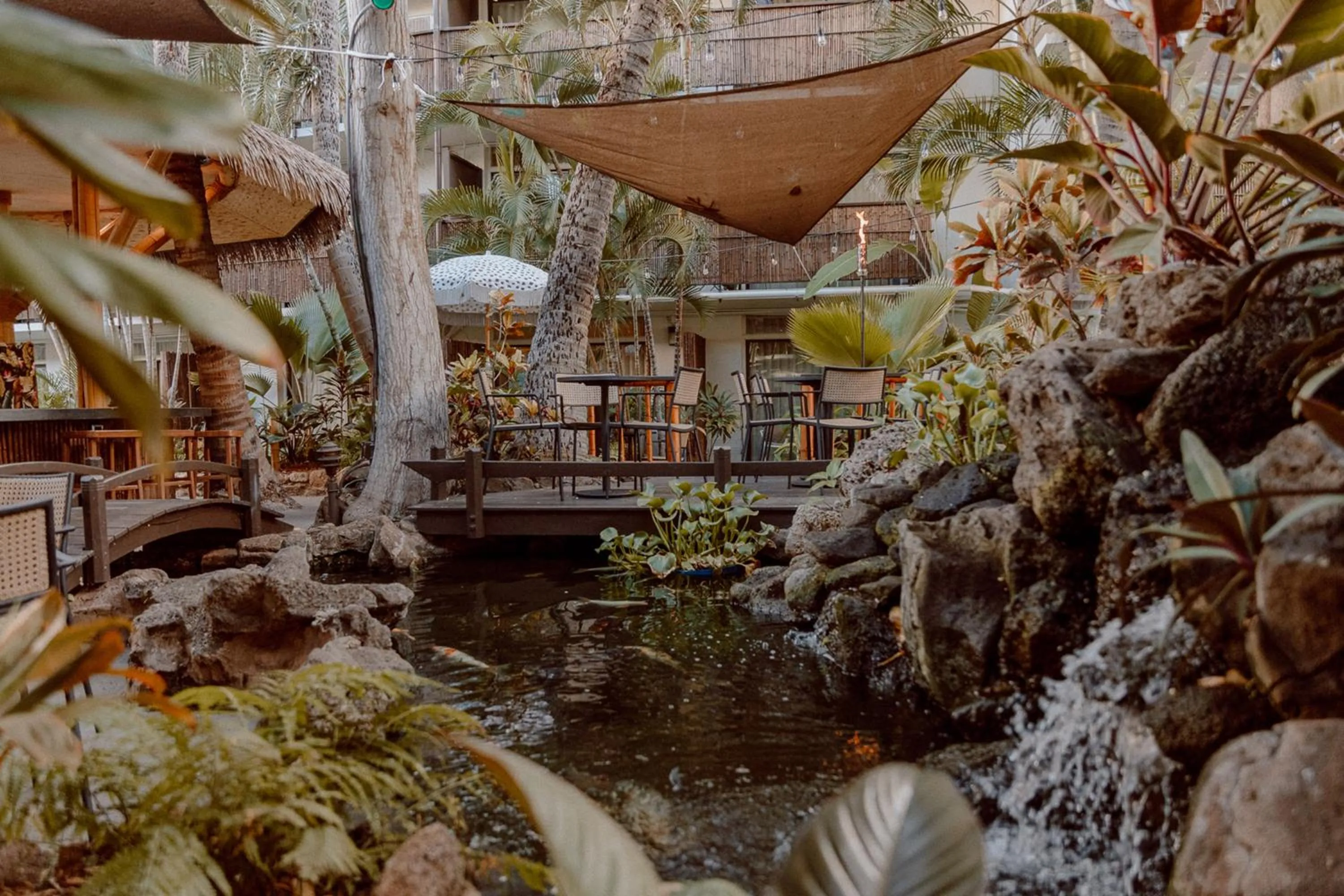 Natural landscape in White Sands Hotel