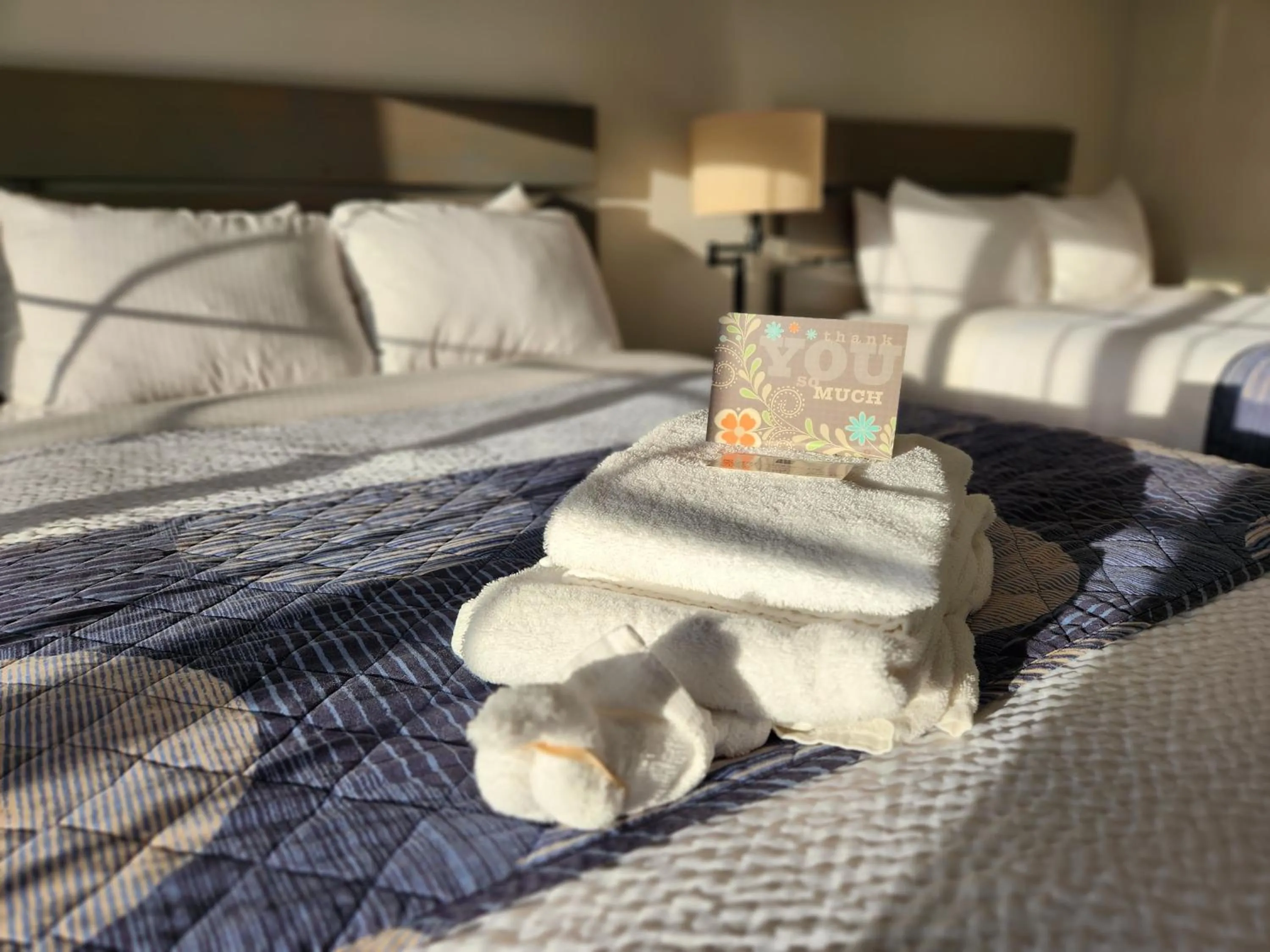 Bed in Brio Beach Inn