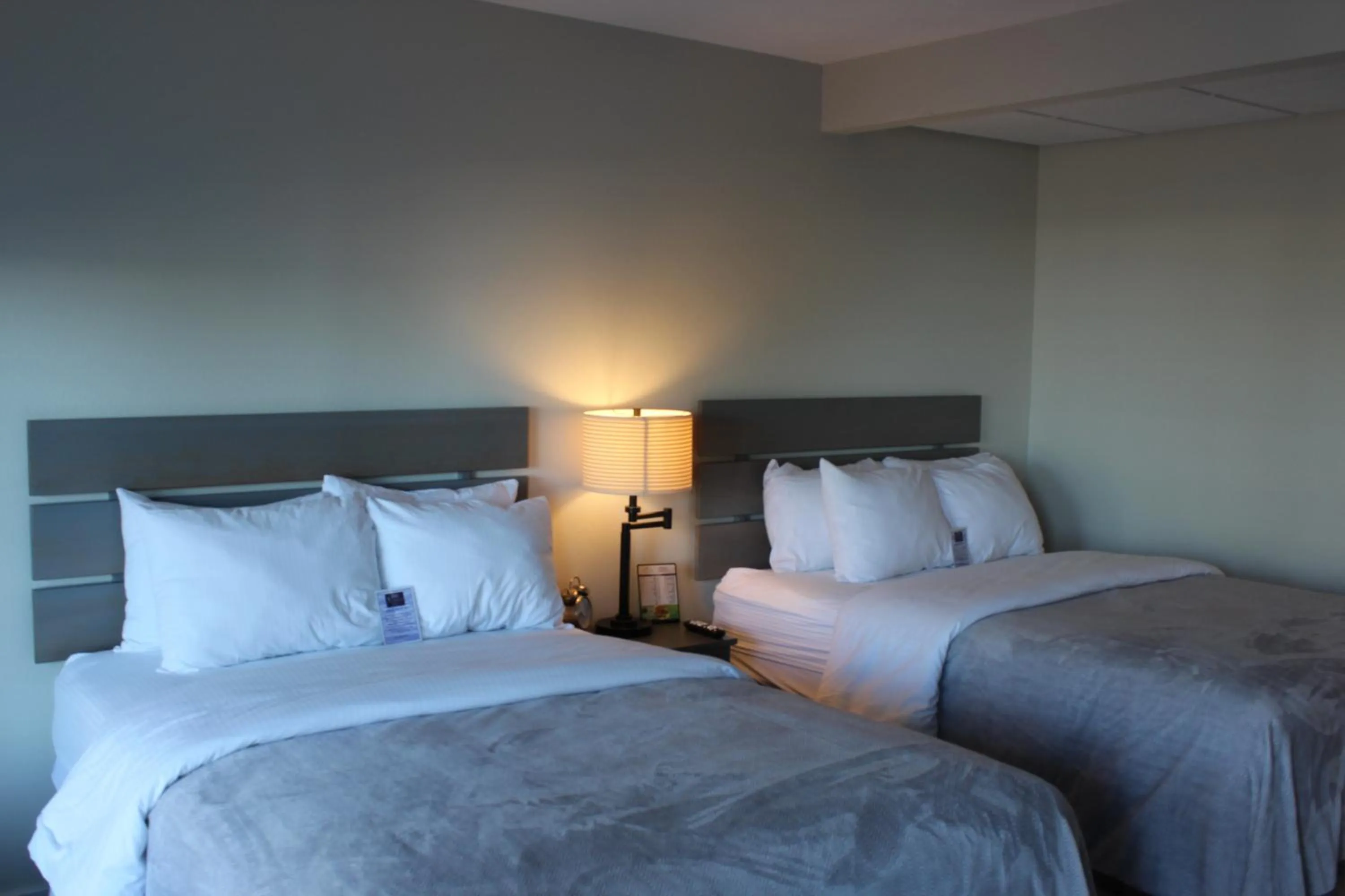 Bed in Brio Beach Inn