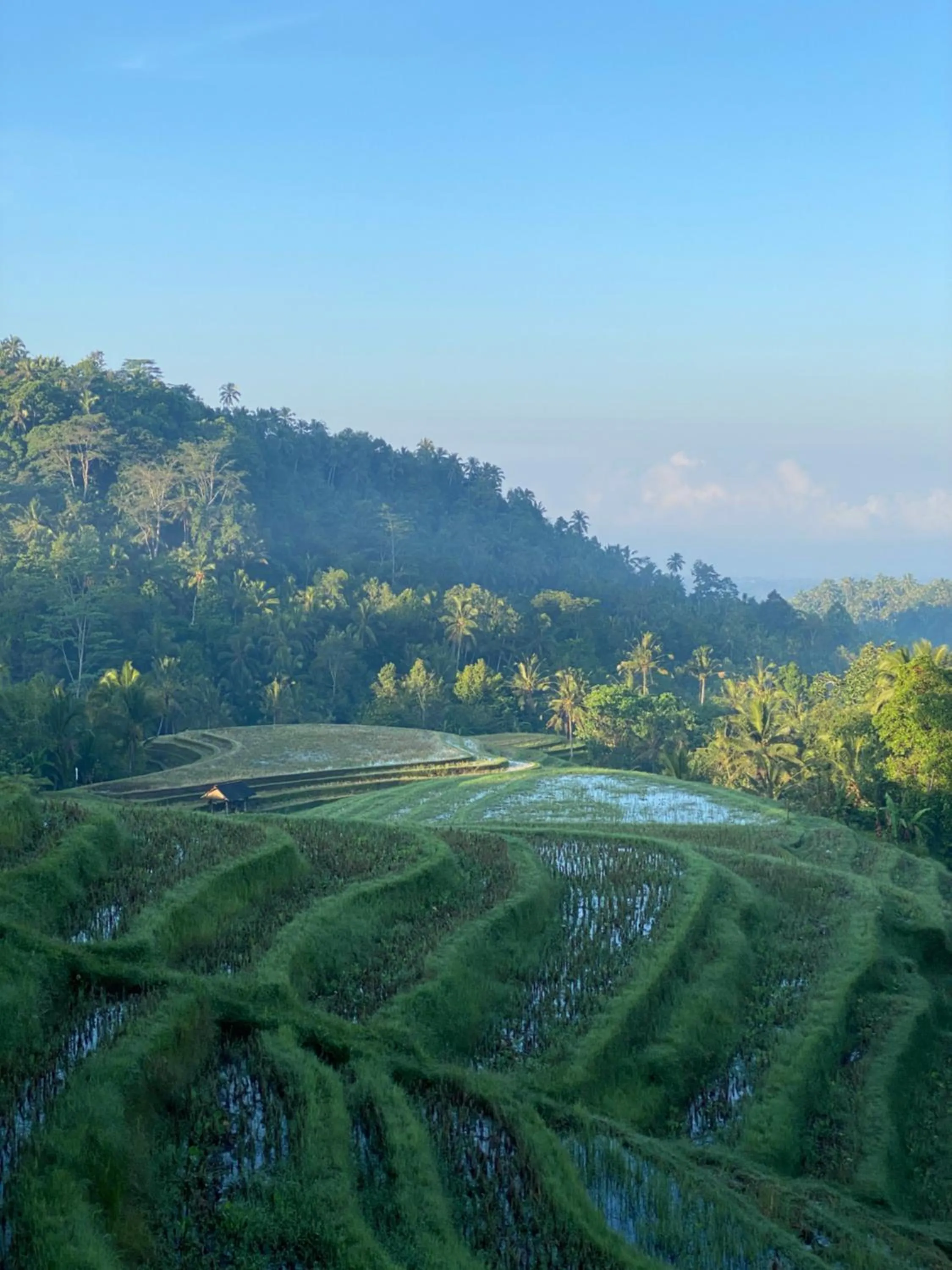 Natural landscape in Clove Tree Hill