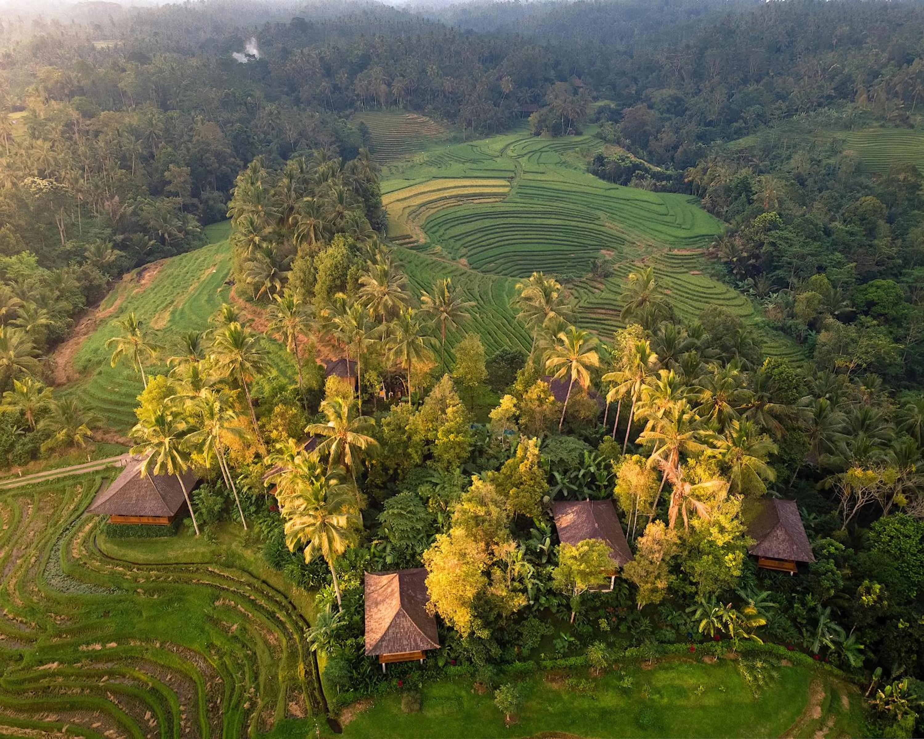Bird's eye view in Clove Tree Hill