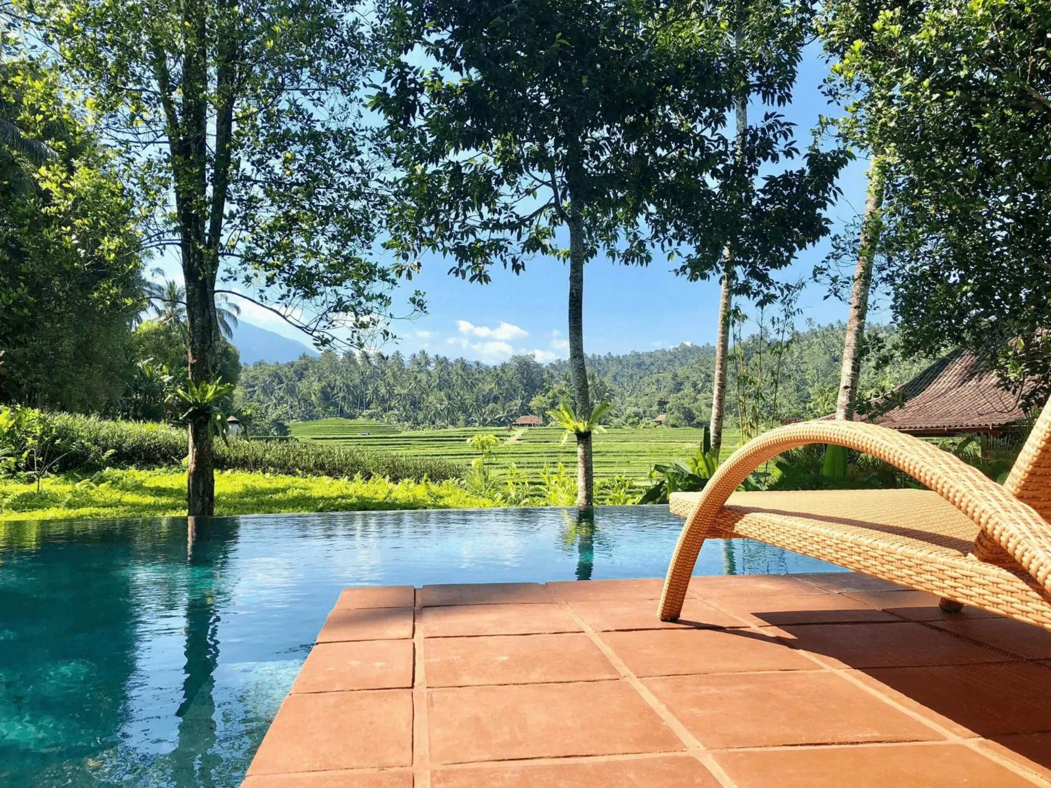 Natural landscape in Clove Tree Hill