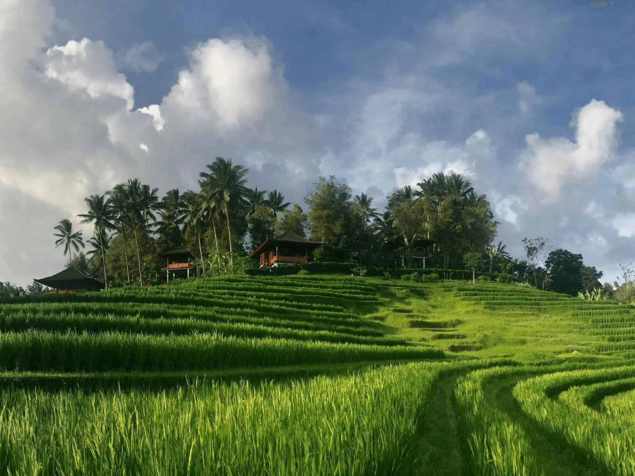 Property building in Clove Tree Hill