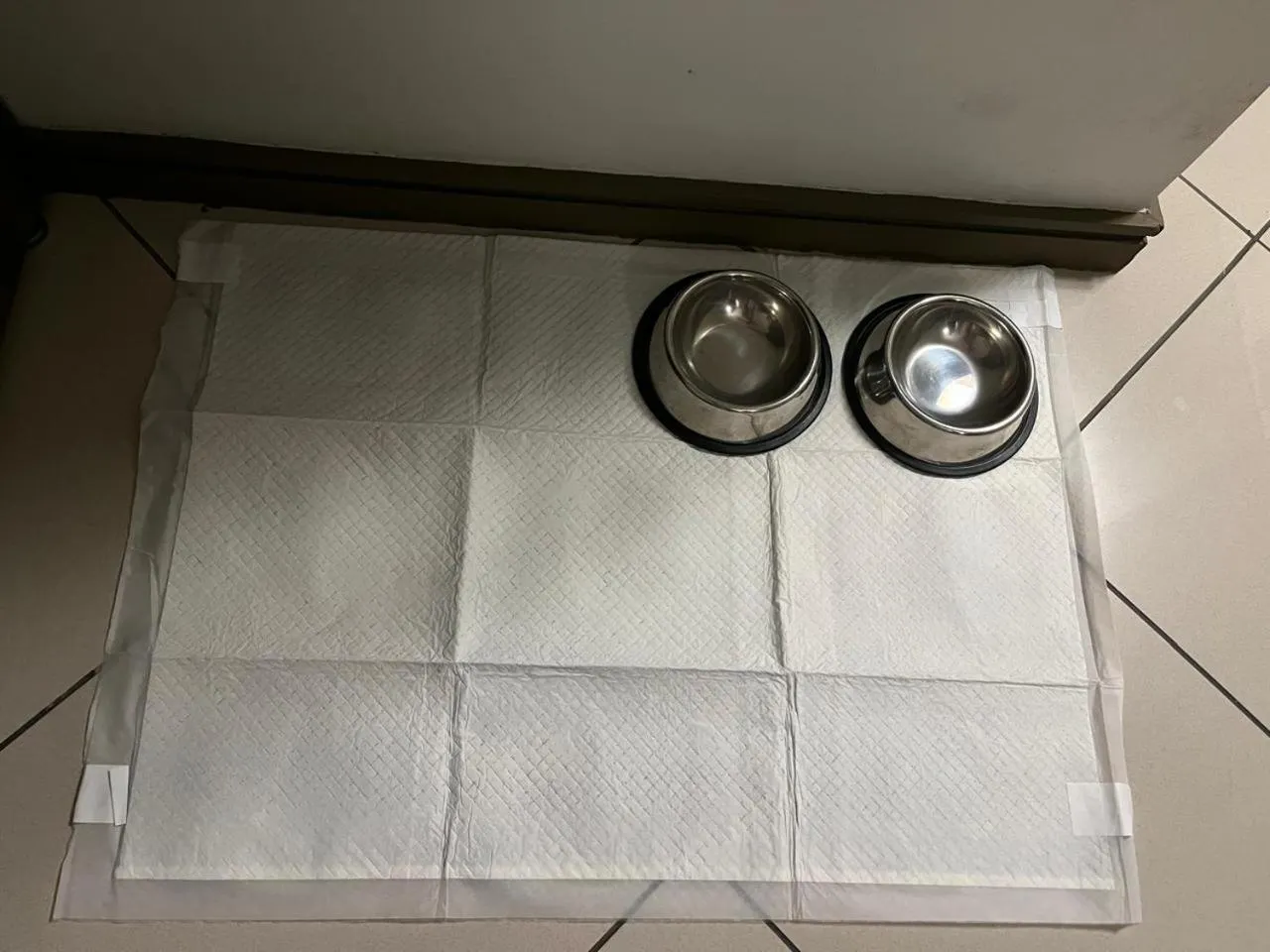 Pets in Grand Mercure Belem do Para