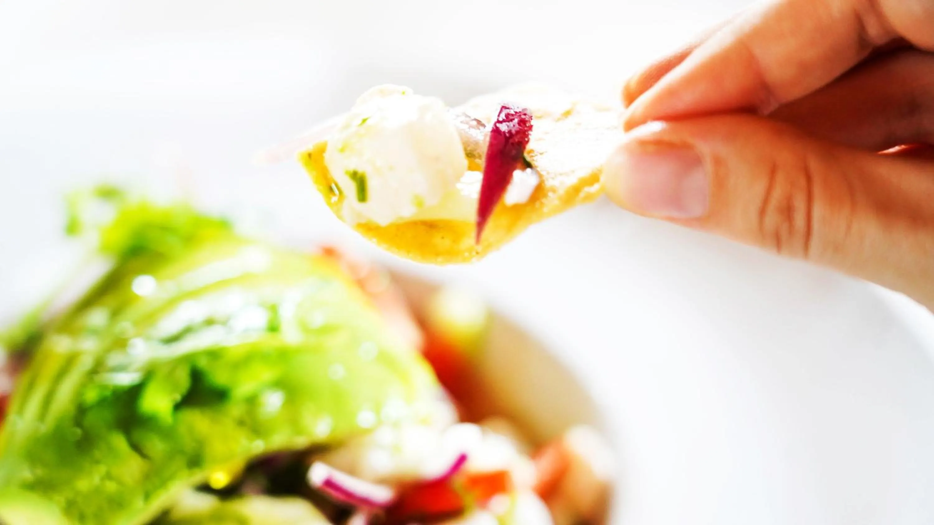 Restaurant/places to eat in Ser Casasandra Boutique Hotel