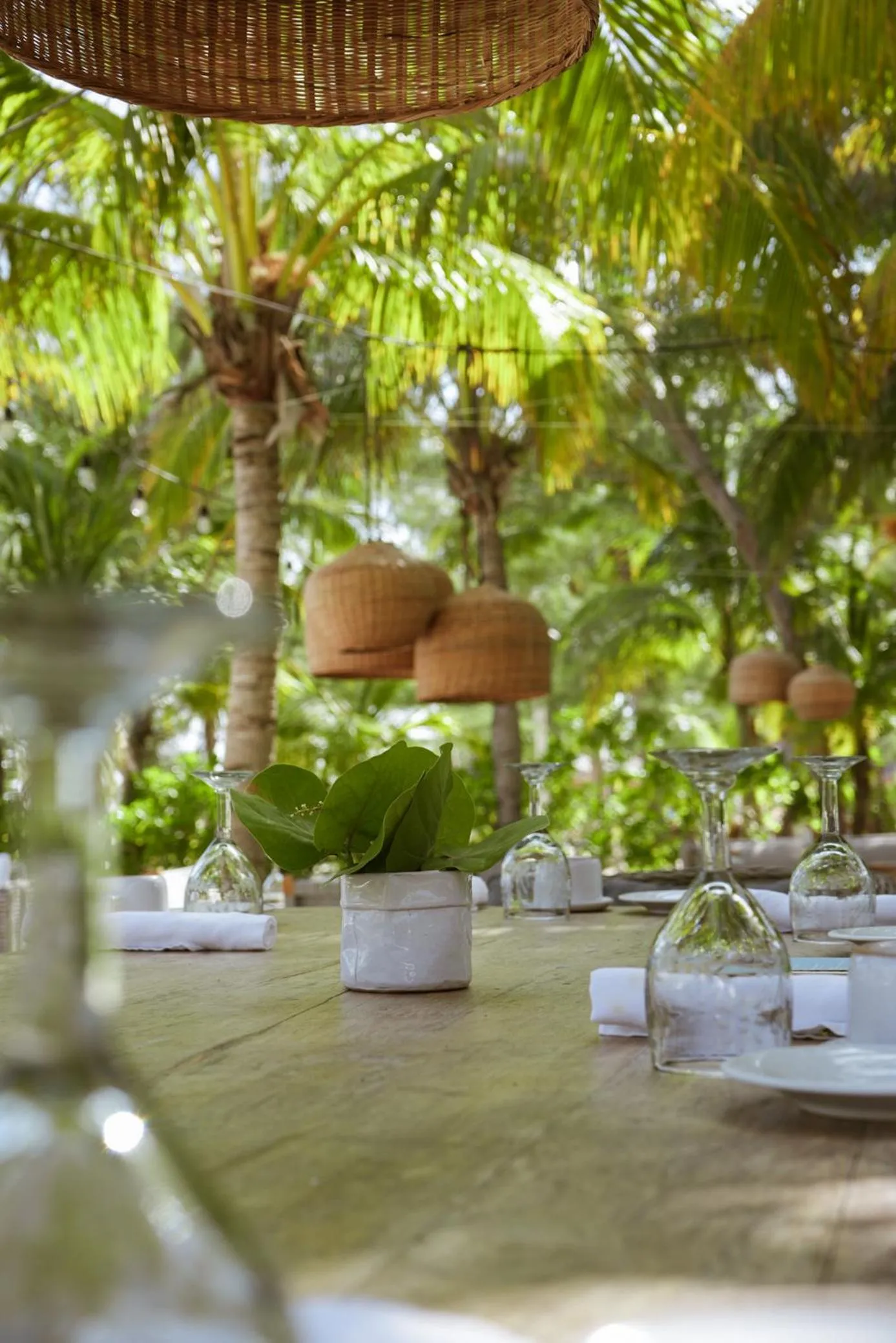 Restaurant/places to eat in Ser Casasandra Boutique Hotel