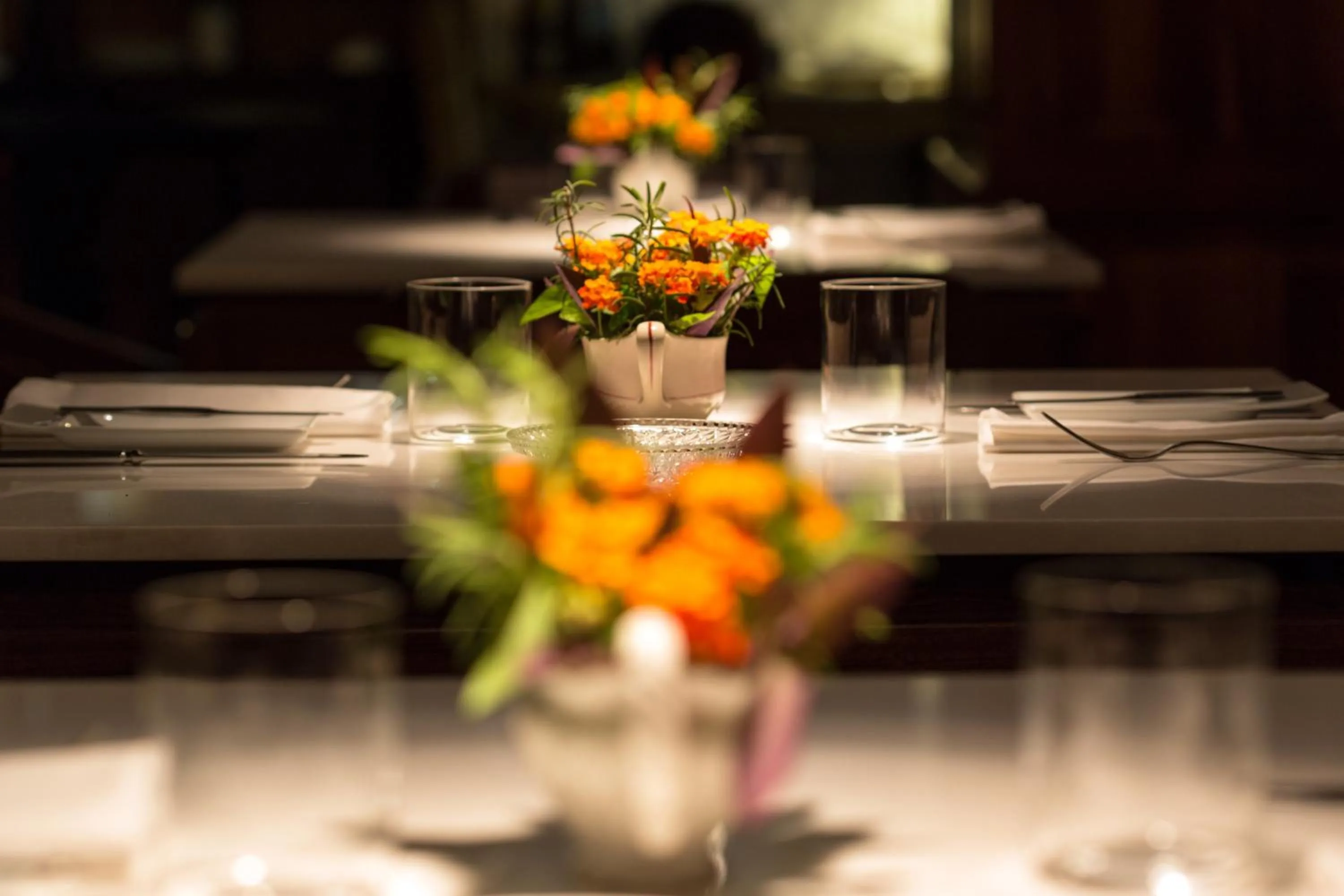 Restaurant/places to eat in Ser Casasandra Boutique Hotel