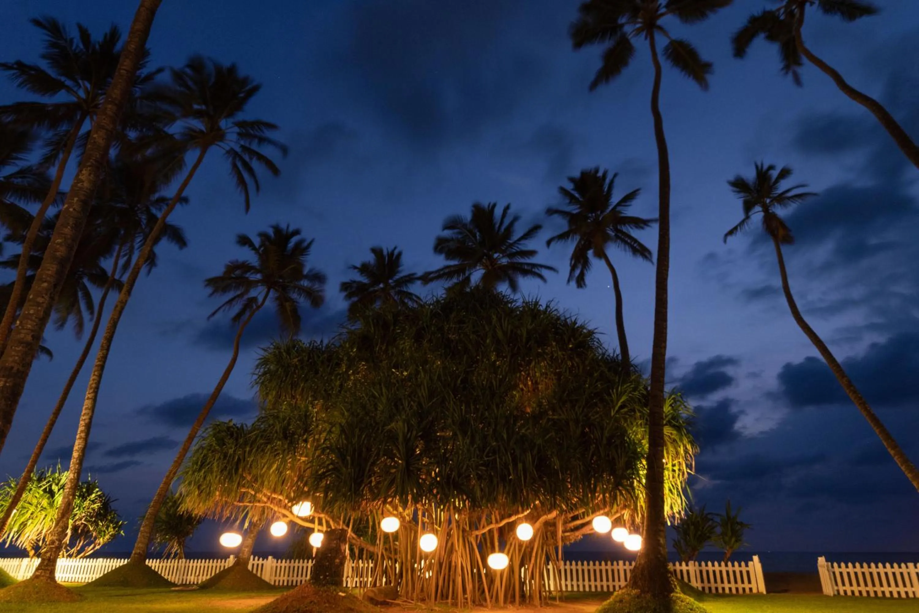 Night in Clove Beach Wadduwa