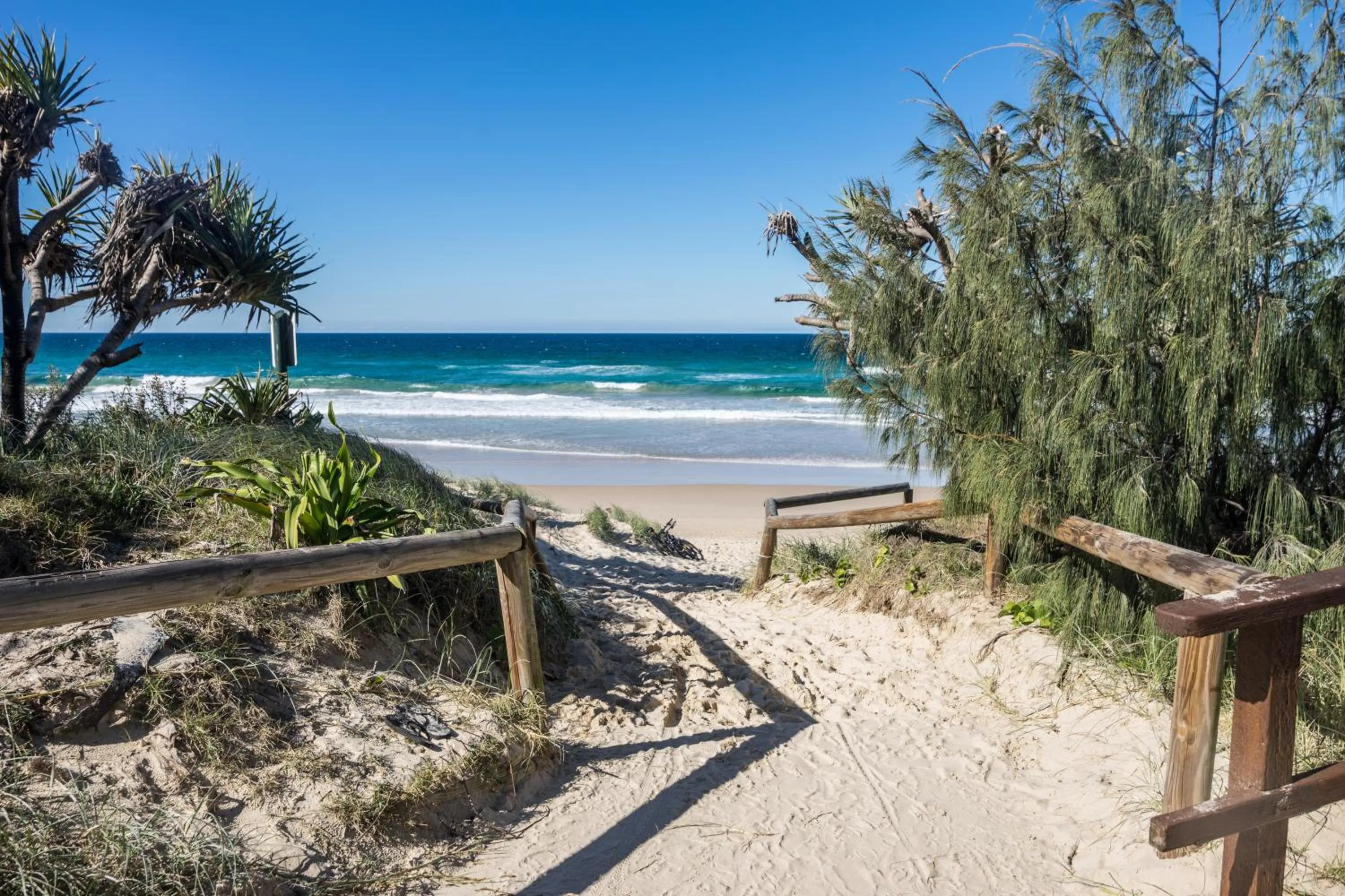 Fishing in Horizons At Peregian
