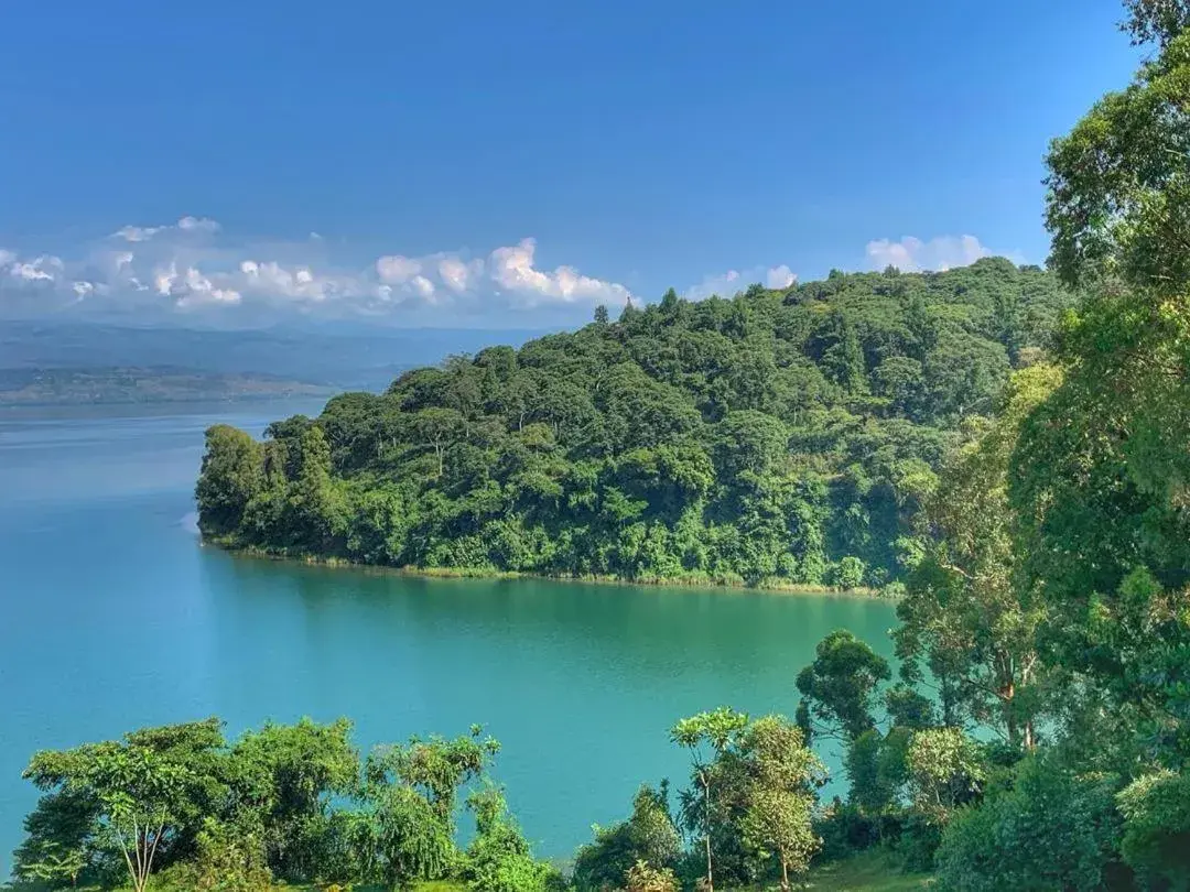 Deluxe Single Room with Sea View in Hotel Peace Guest House Deluxe Single Room with Sea View in Hotel Peace Guest House