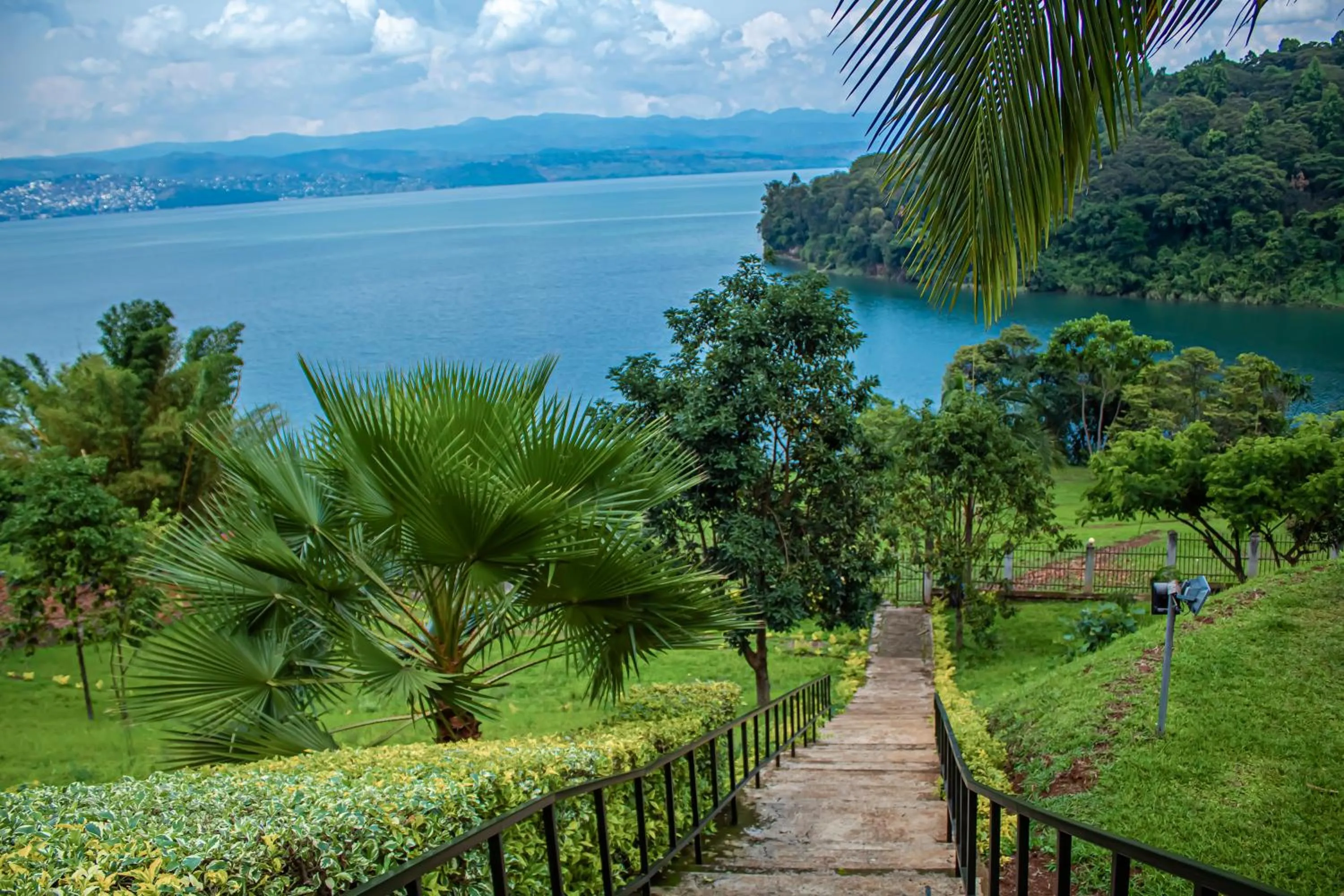 Natural landscape in Hotel Peace Guest House