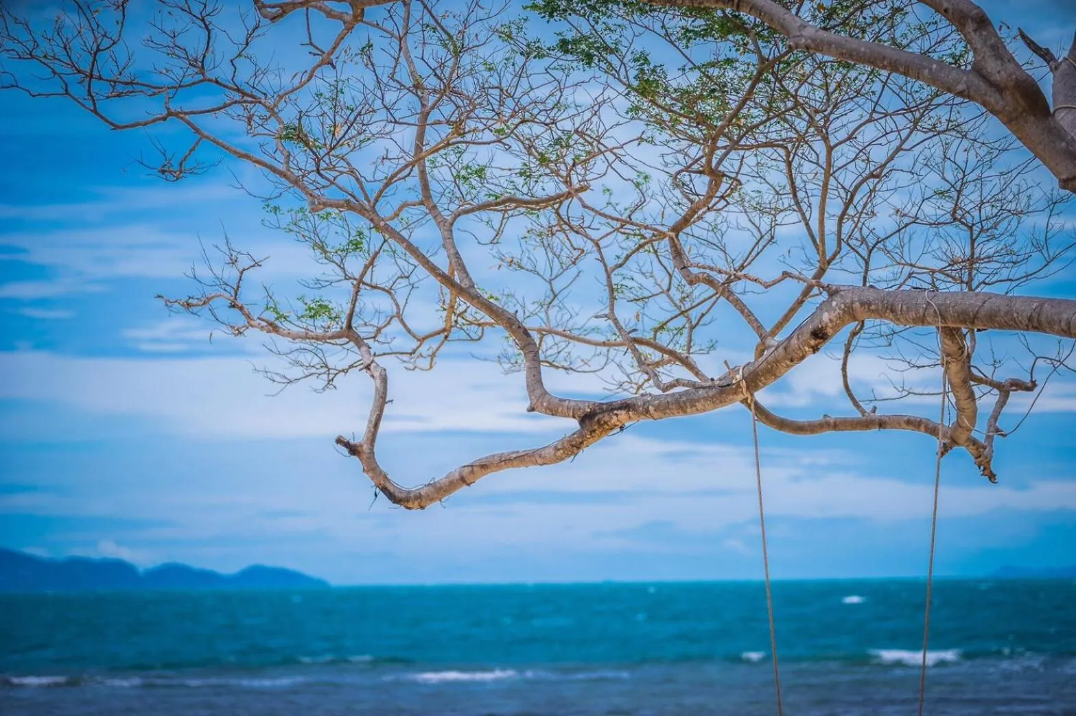 Beach in The Cabin Beach Resort