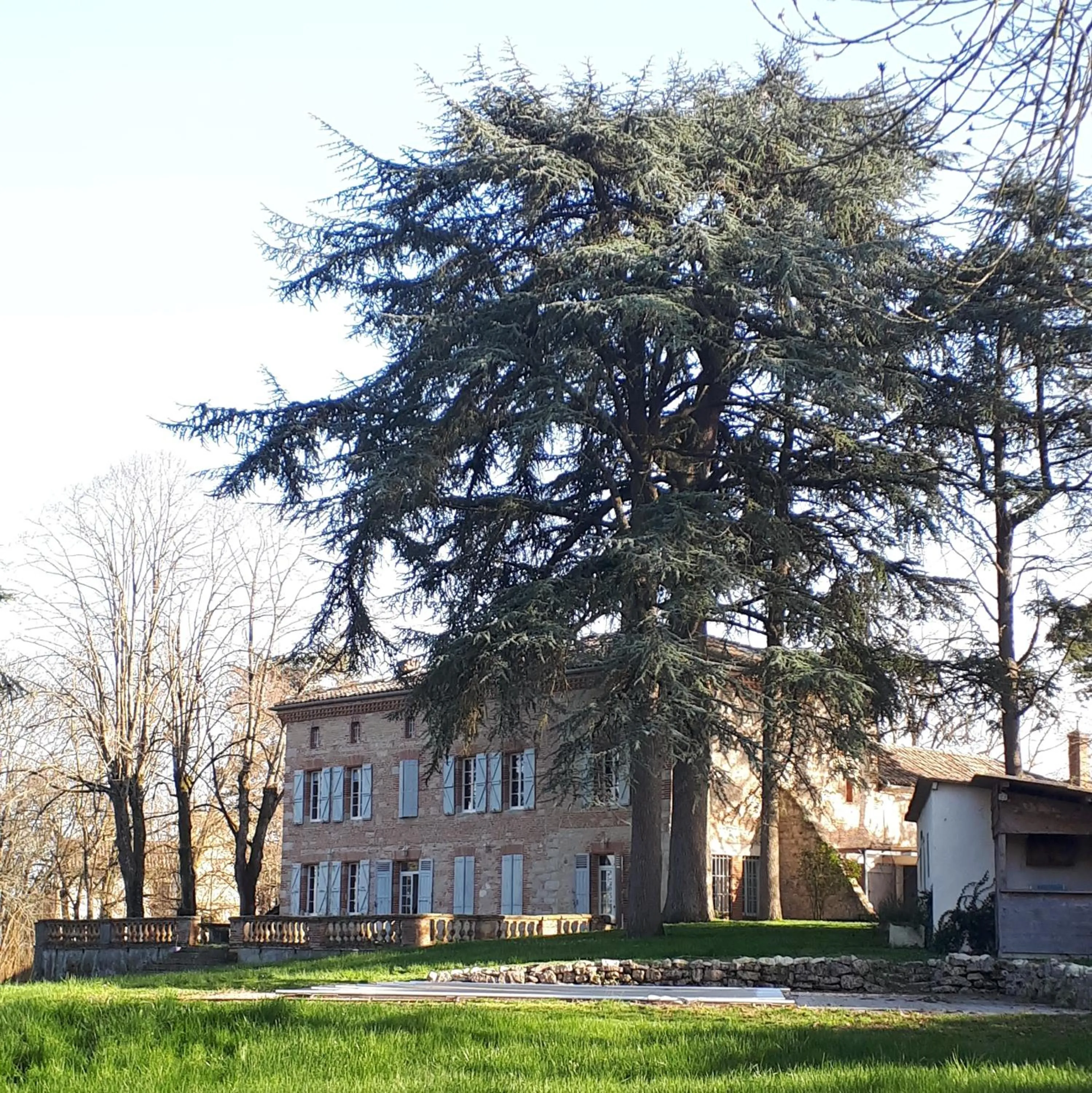 Garden in Le Jardin Des Cèdres