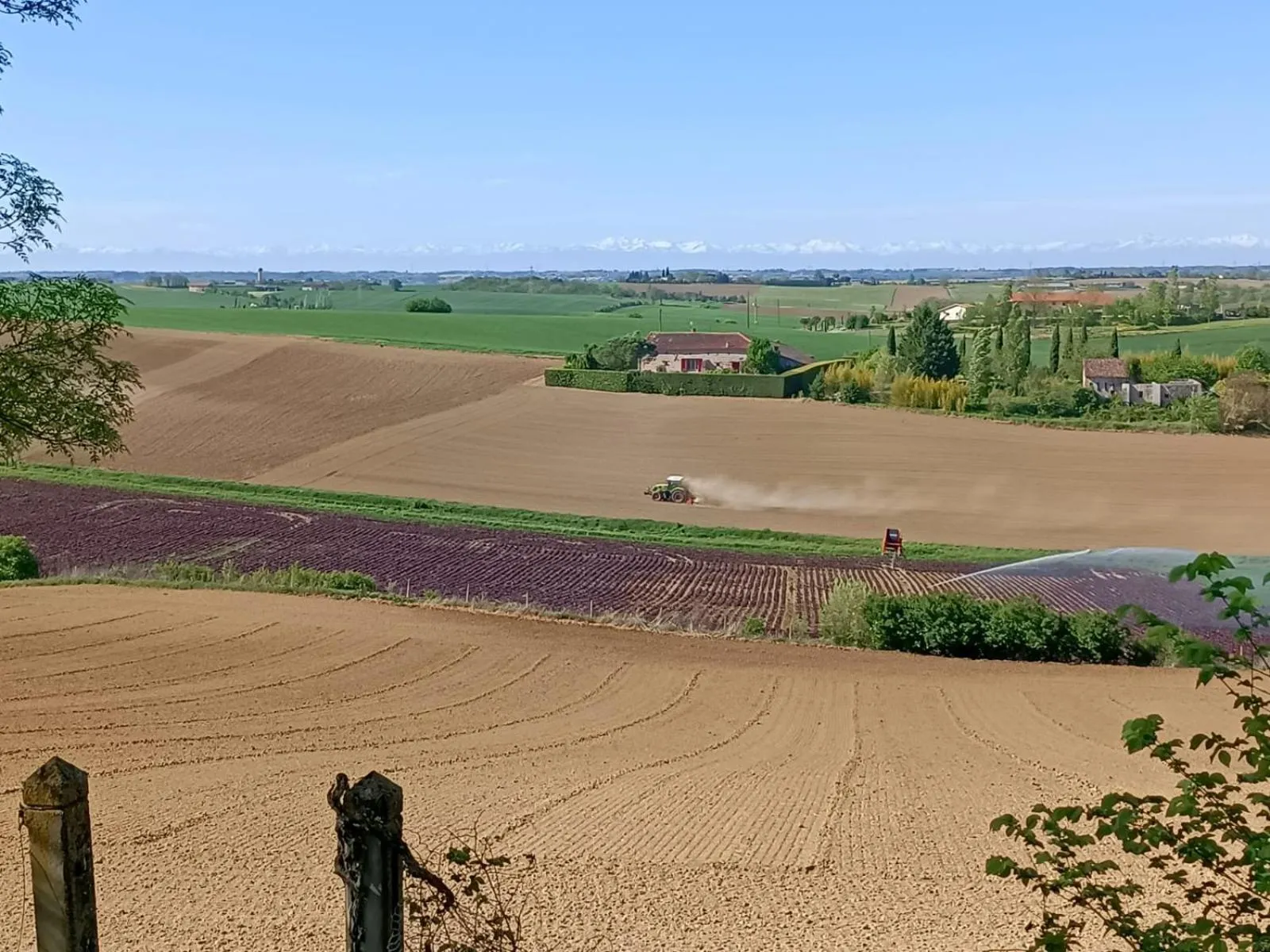 Garden in Le Jardin Des Cèdres