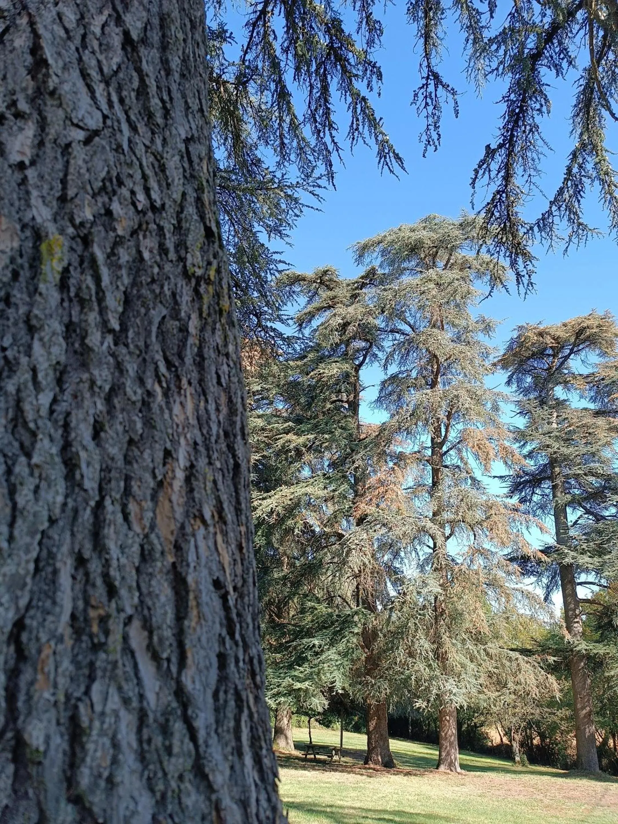 Property building in Le Jardin Des Cèdres
