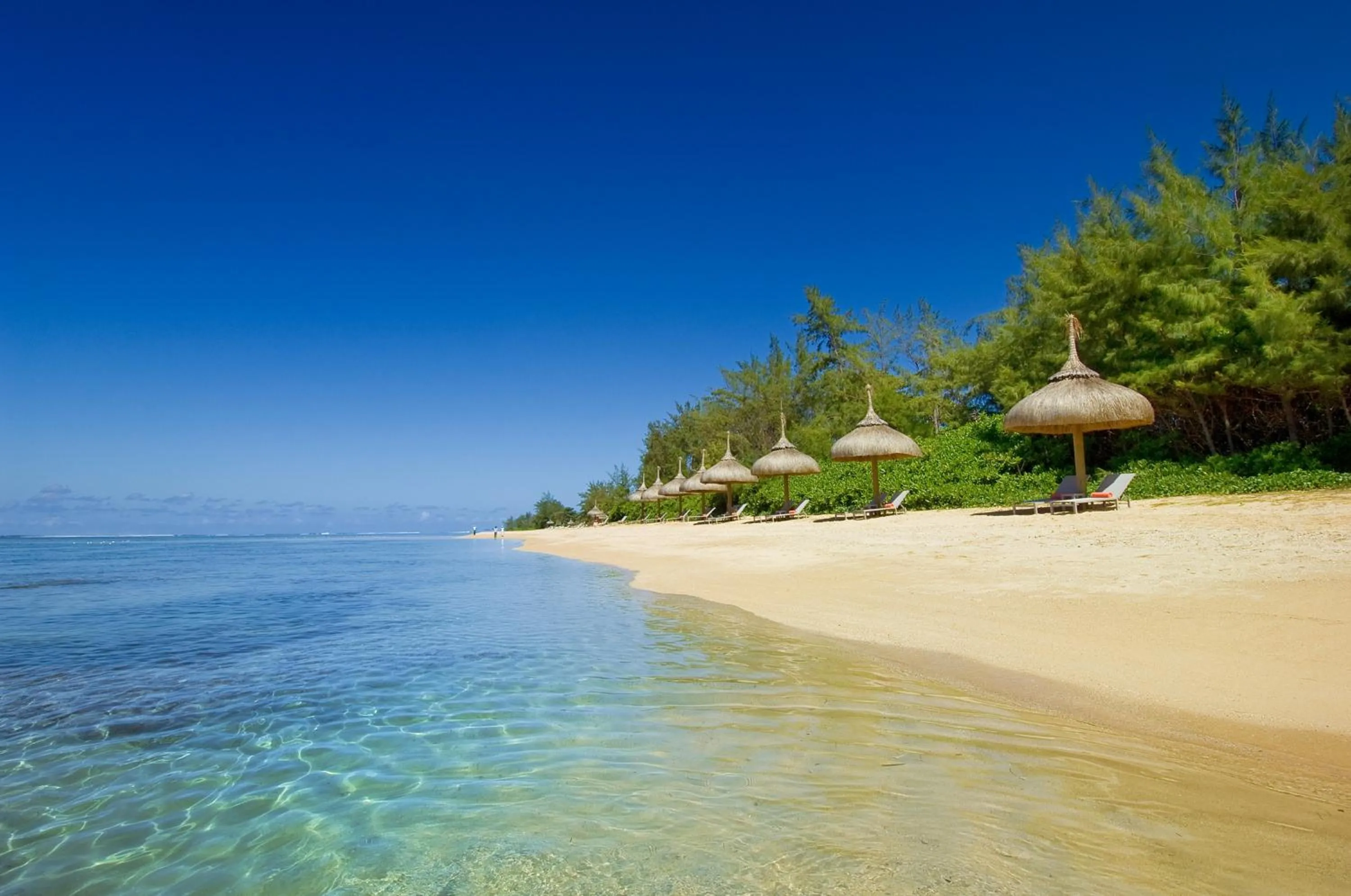 Beach in SO/ Sofitel Mauritius