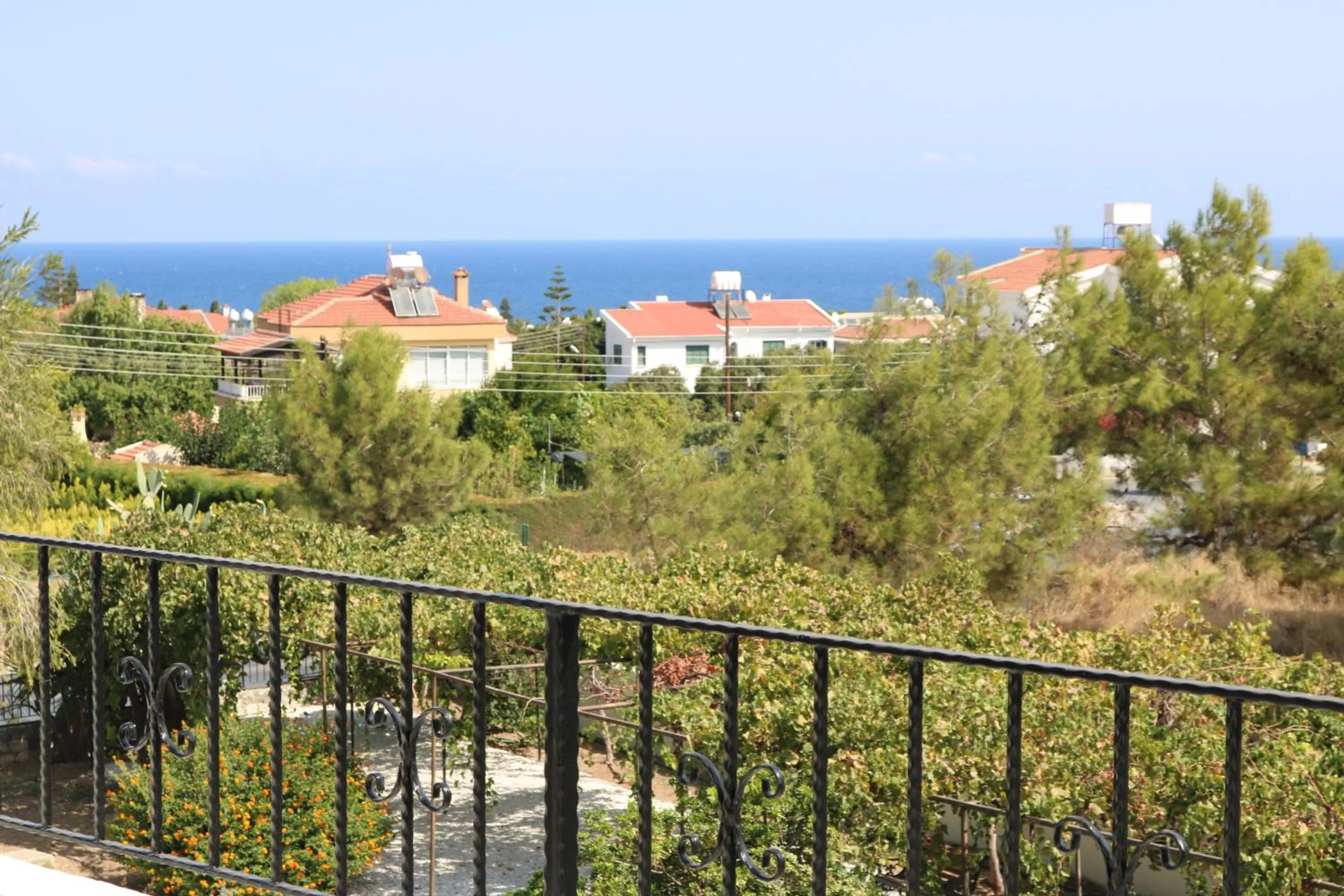 Day in Meryem's Hotel