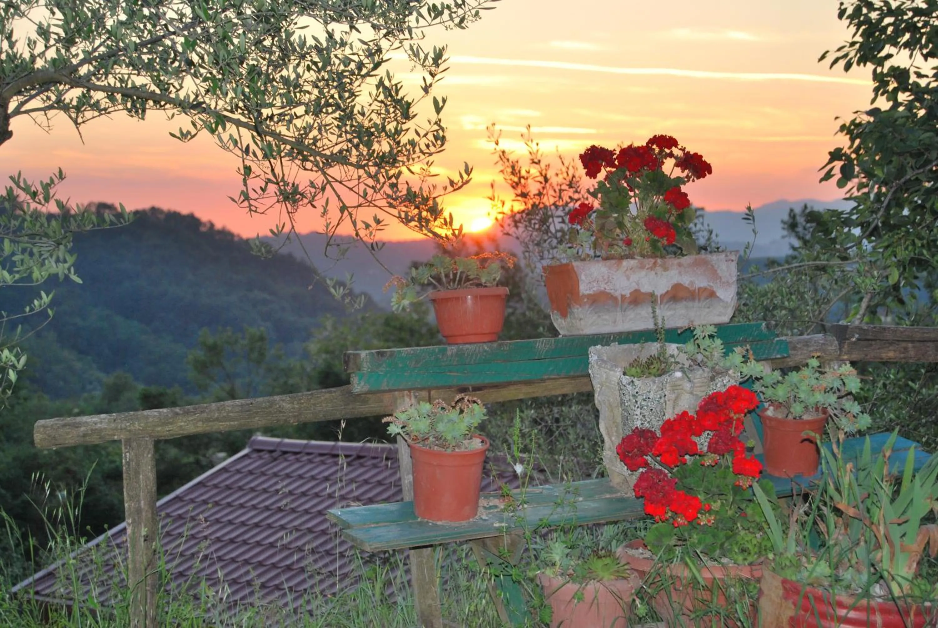 Agriturismo Cisogna