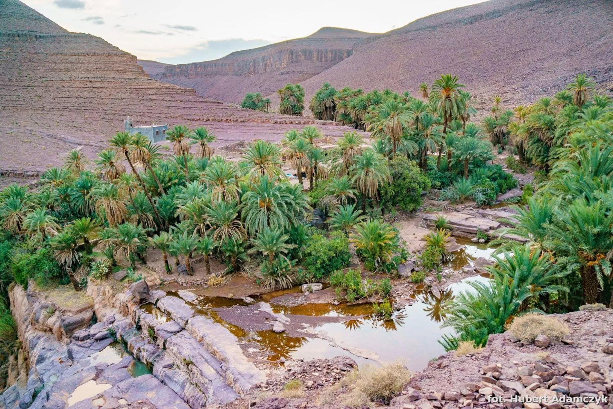 Natural landscape in Ouednoujoum Ecolodge & Spa