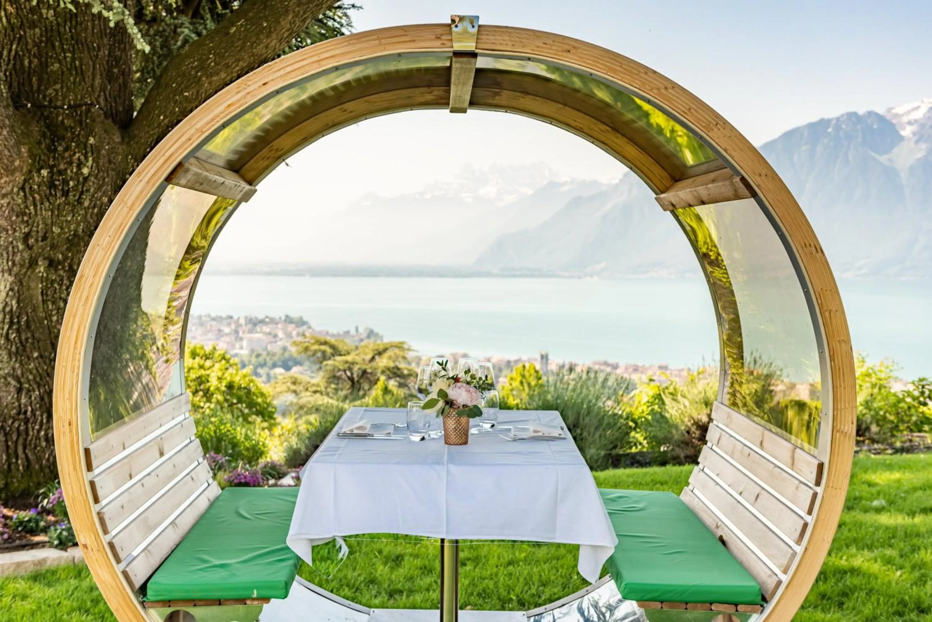 View (from property/room) in Hotel du Léman - Jongny