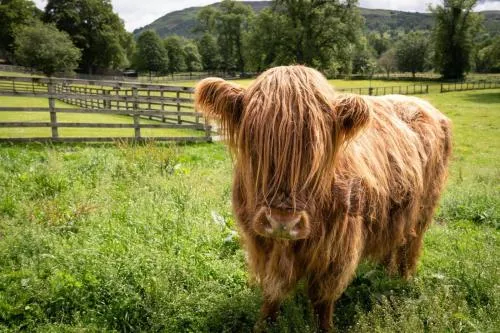 The Old Manse of Blair, Boutique Hotel & Michelin Restaurant