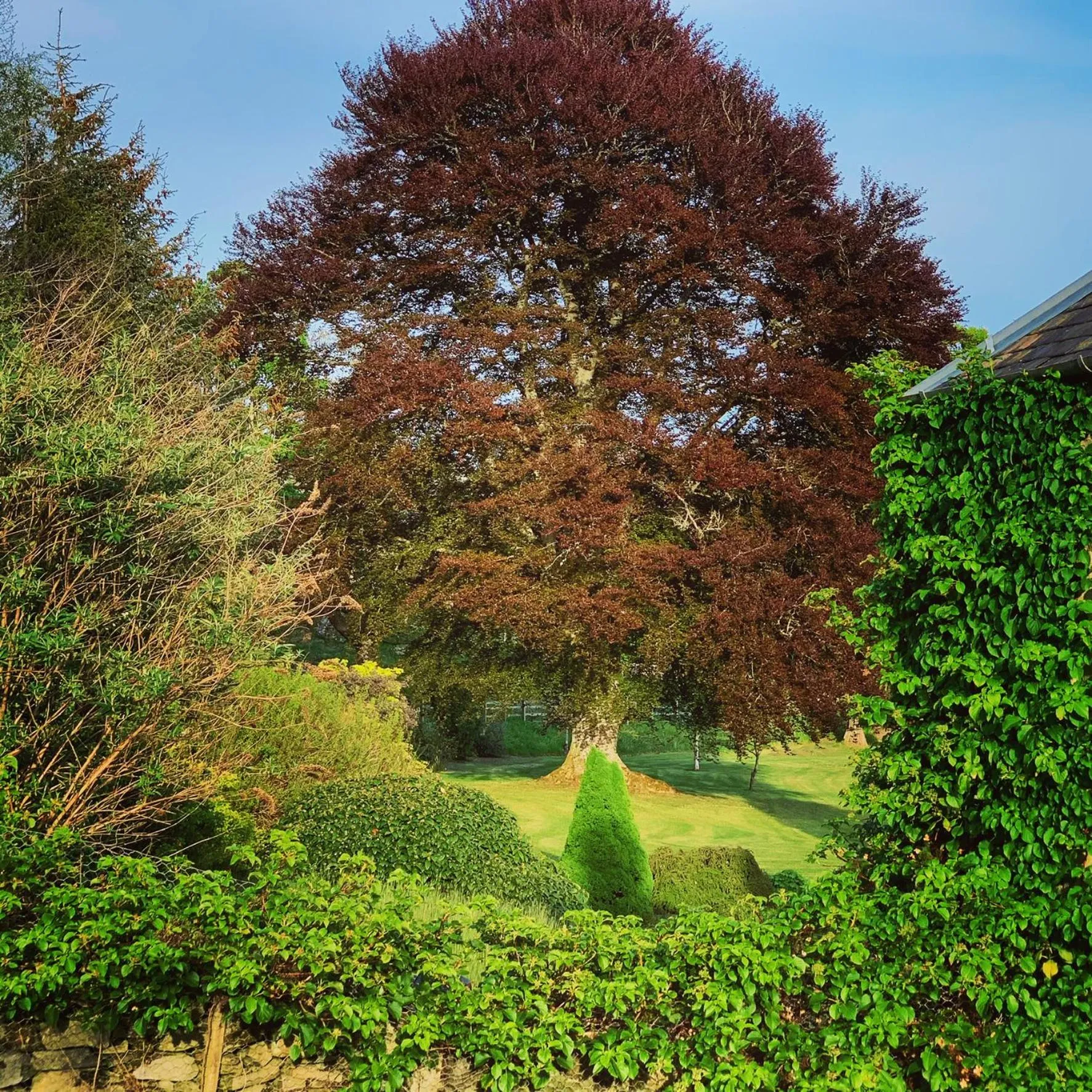 View (from property/room) in The Old Manse of Blair, Boutique Hotel & Restaurant